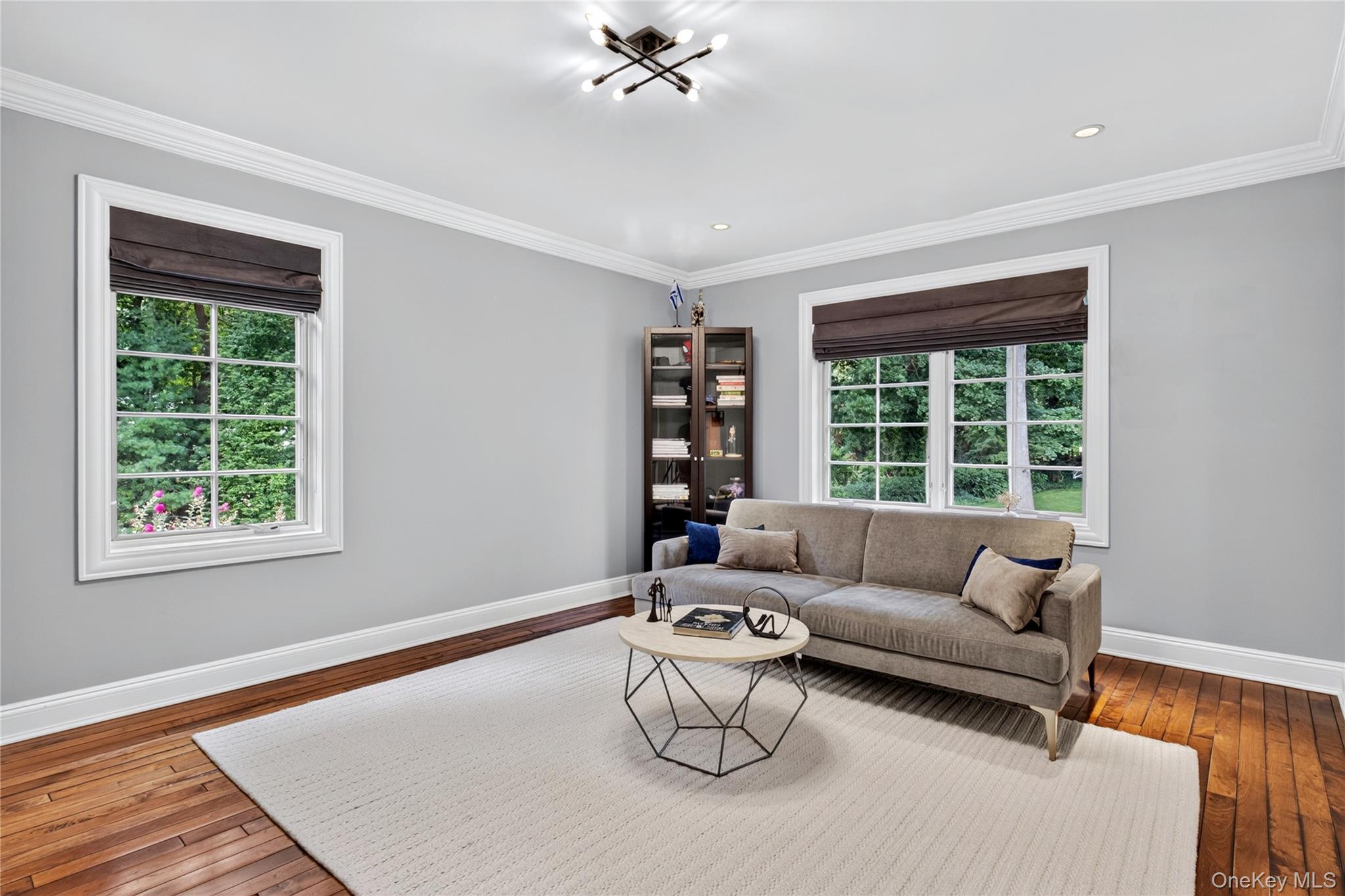 Single Family Vista Lane Nassau County, NY 11545, MLS-1053488-23