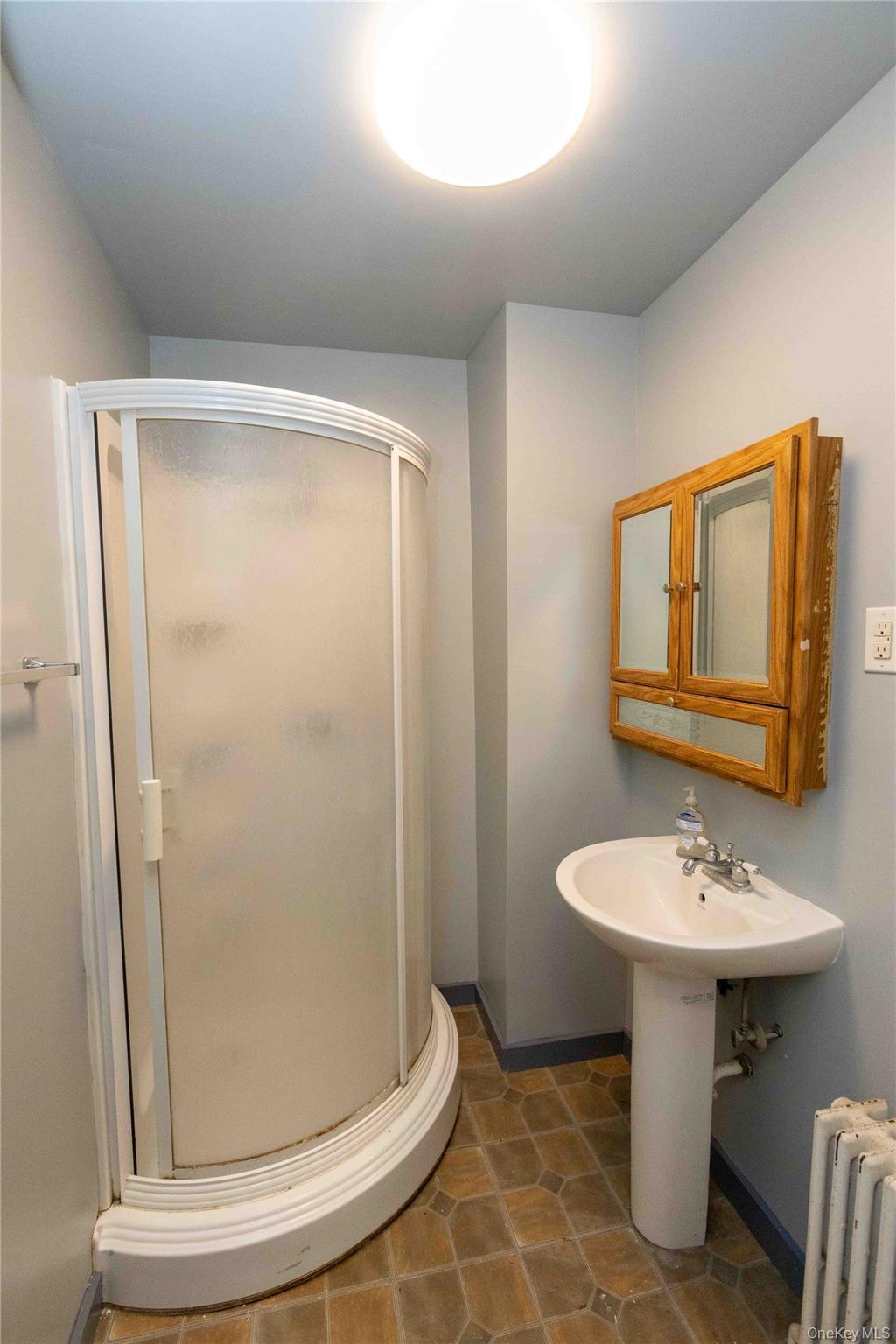 Single Family Tower Avenue Orange County, NY 12543, MLS-1053579-23