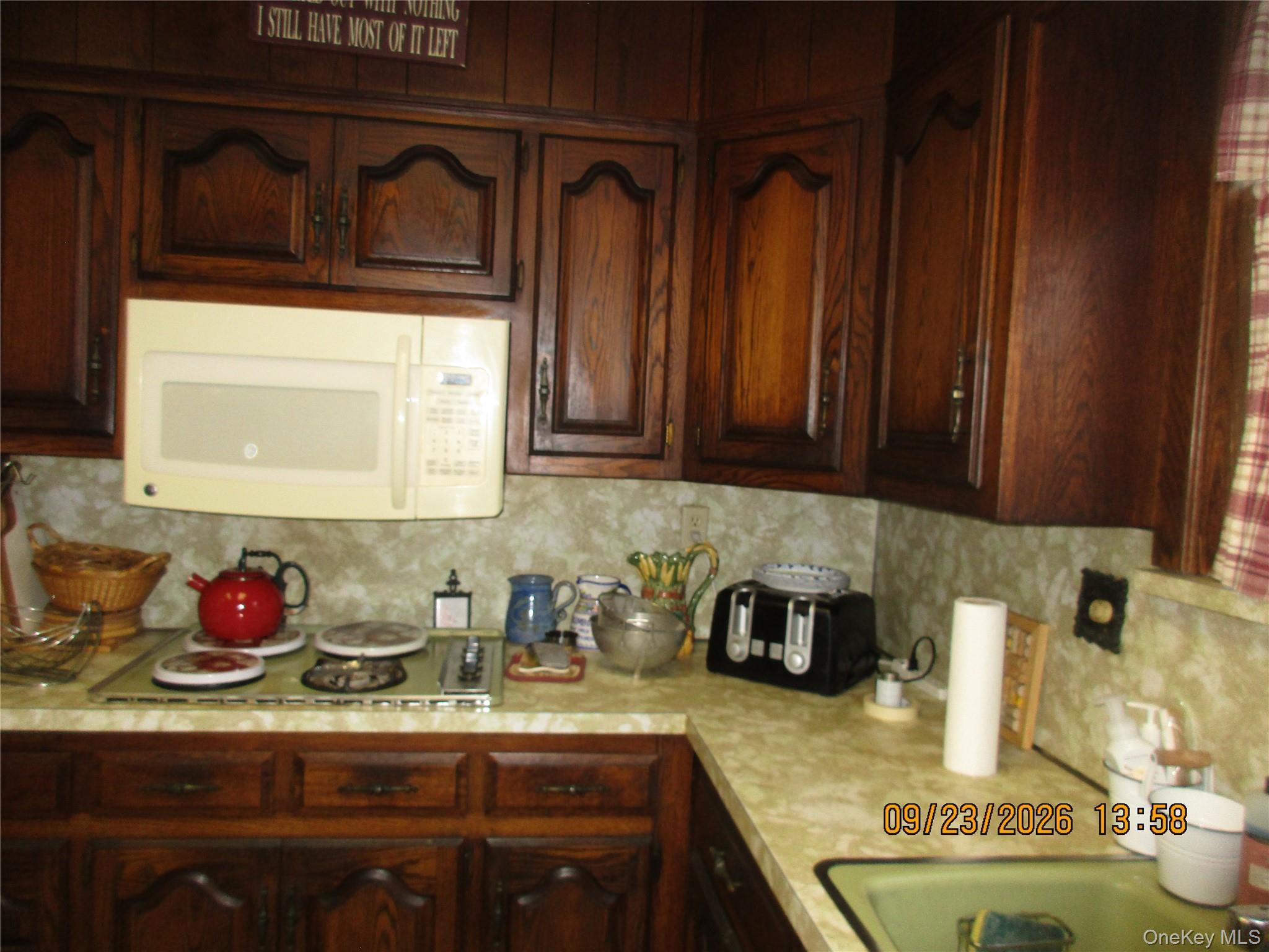 Single Family Penelope Avenue  Queens, NY 11379, MLS-1053588-13