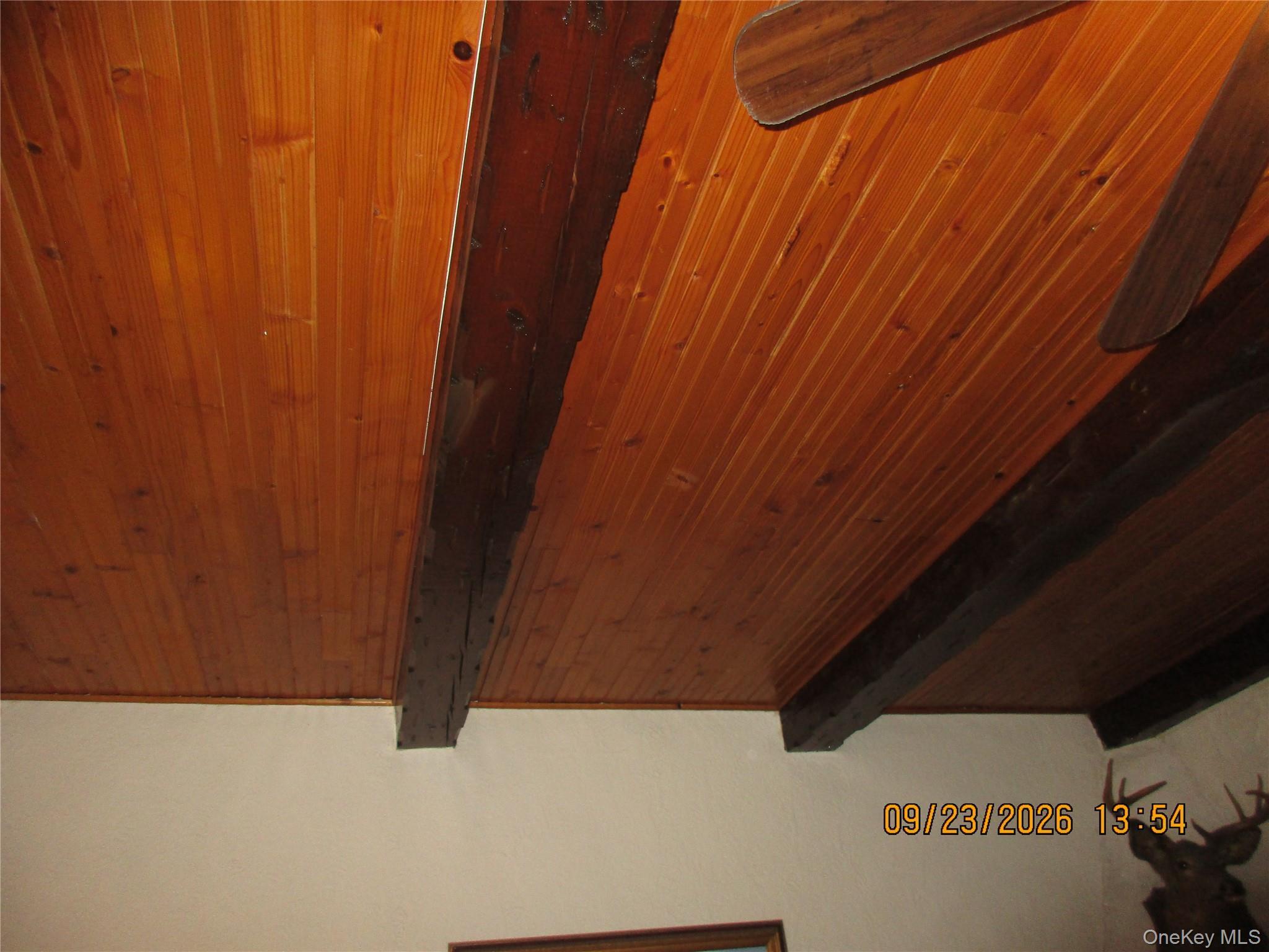 Single Family Penelope Avenue  Queens, NY 11379, MLS-1053588-7