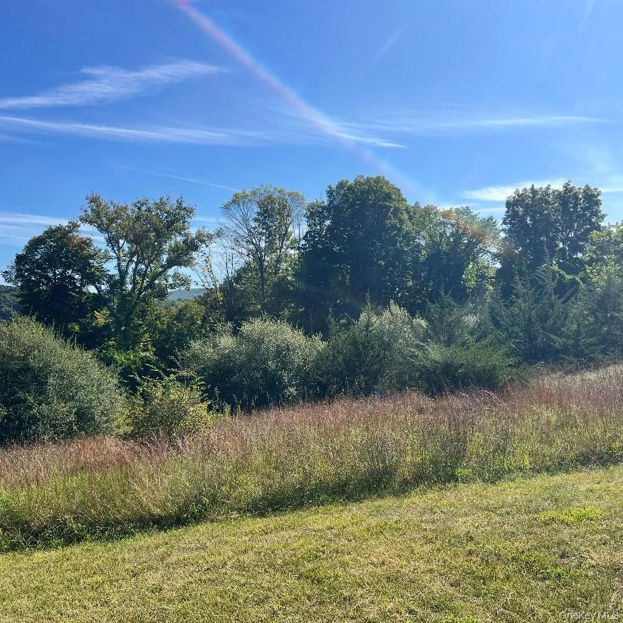 Single Family Buttonwood Road  Dutchess County, NY 12522, MLS-1053645-4