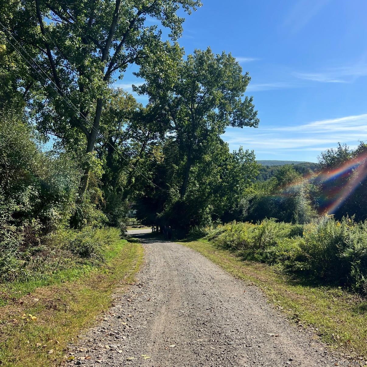 Single Family Buttonwood Road  Dutchess County, NY 12522, MLS-1053645-5