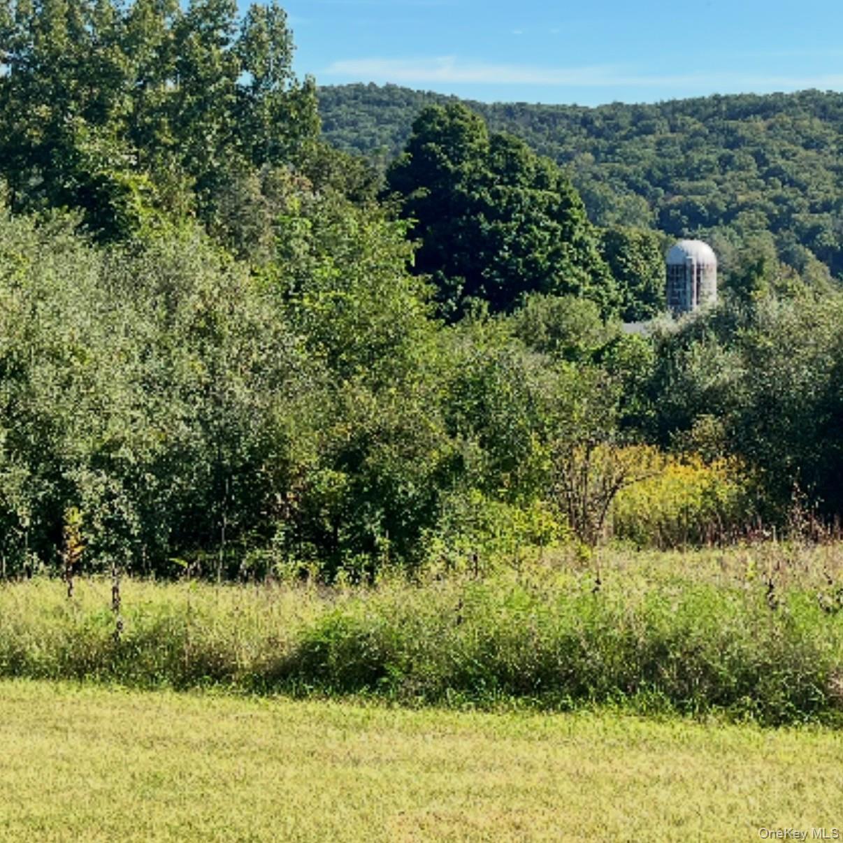 Single Family Buttonwood Road  Dutchess County, NY 12522, MLS-1053645-6