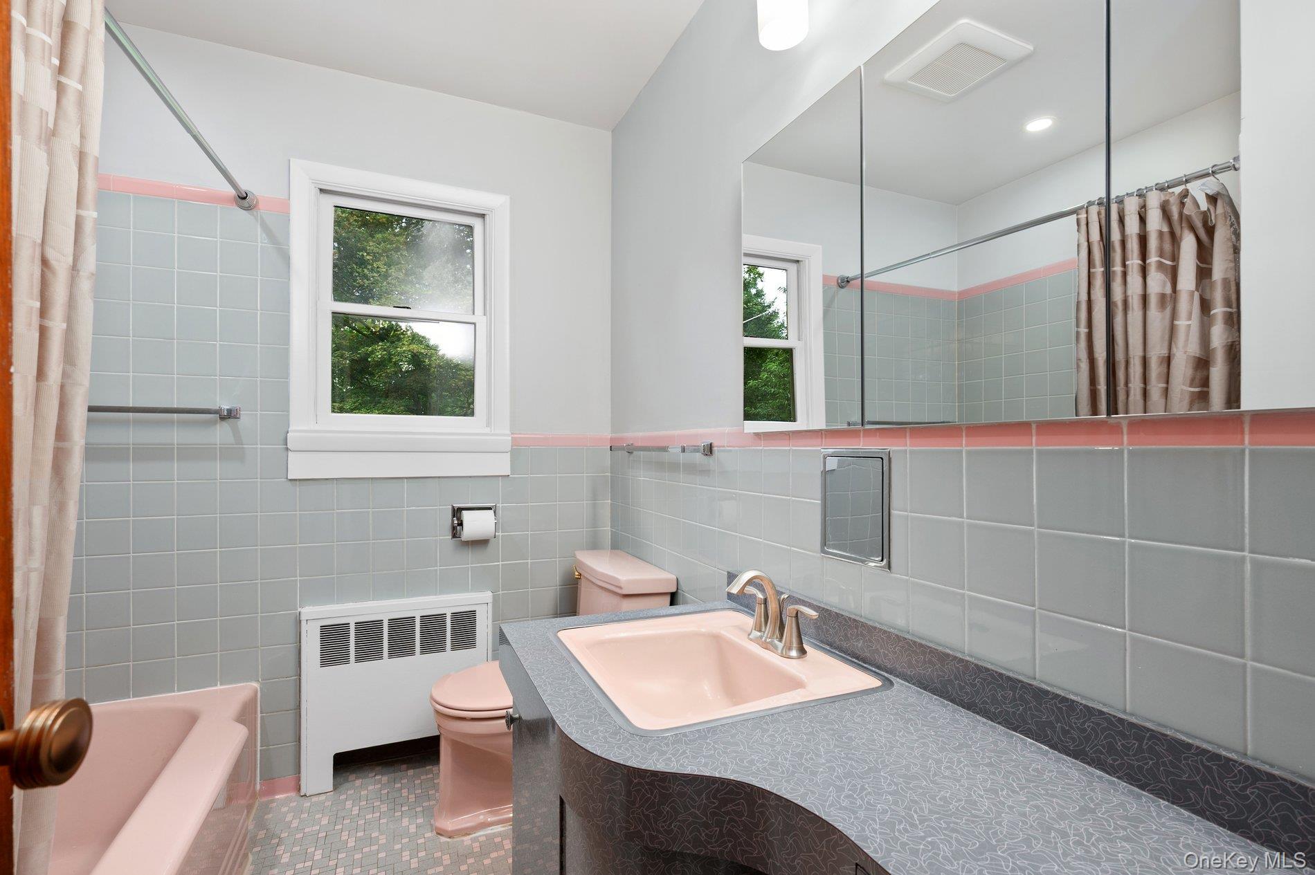 Single Family Sheppard Lane Suffolk County, NY 11743, MLS-1053647-11