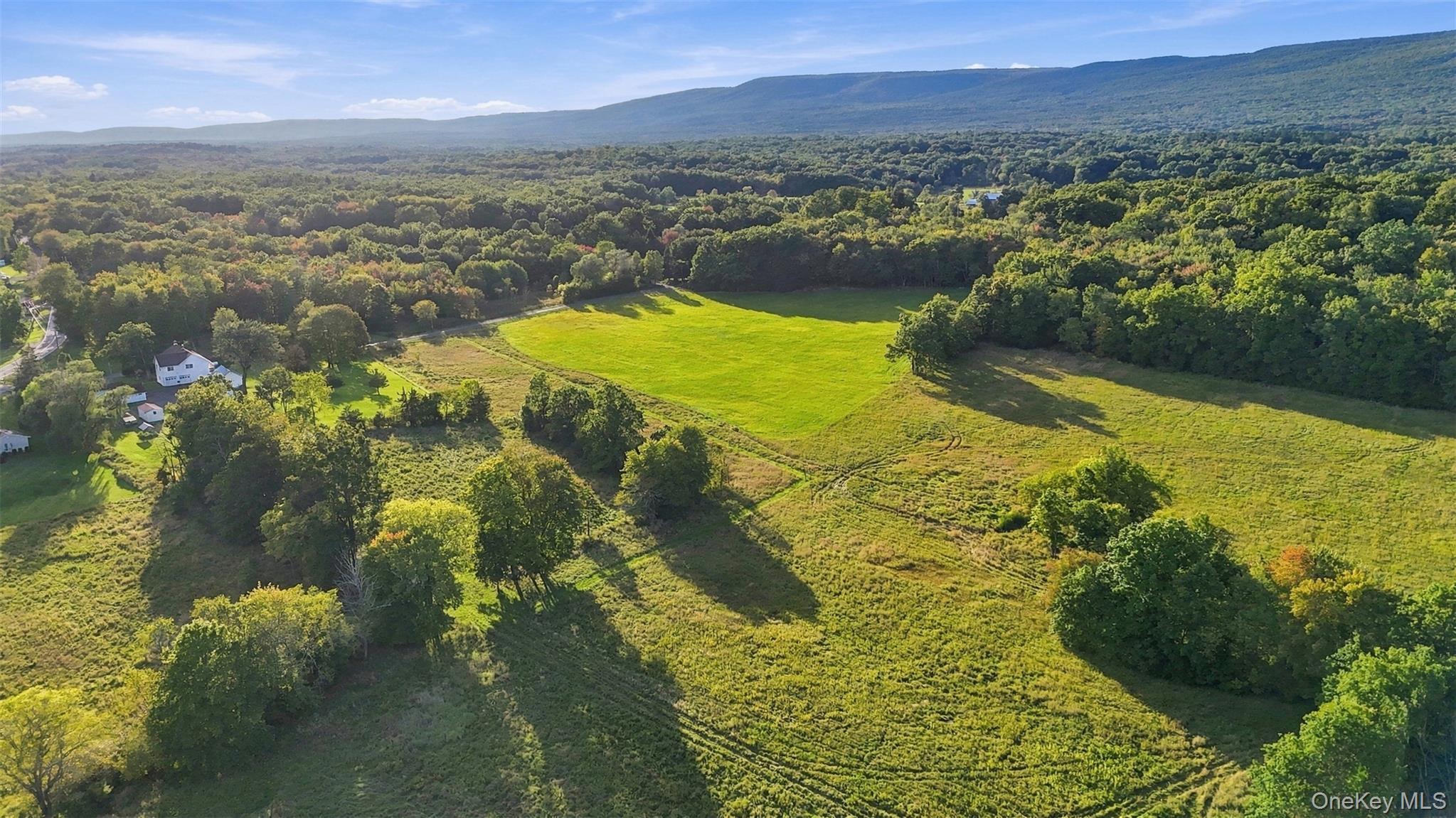 Single Family Low Road  Ulster County, NY 12589, MLS-1053667-7