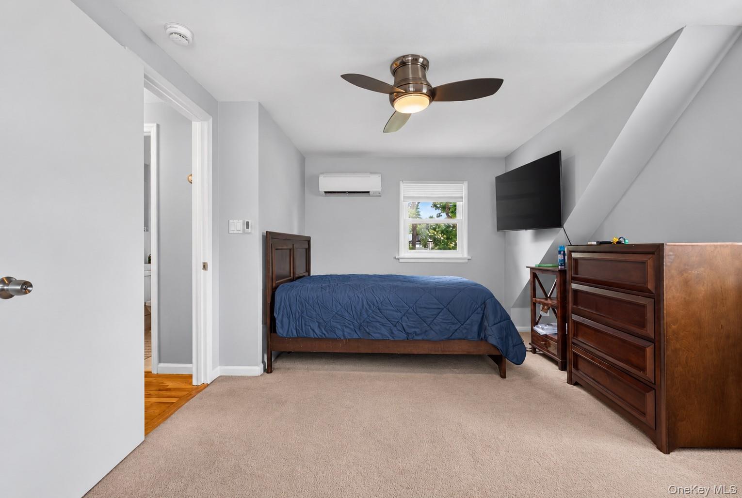 Single Family Harmony Drive  Nassau County, NY 11762, MLS-1053672-18