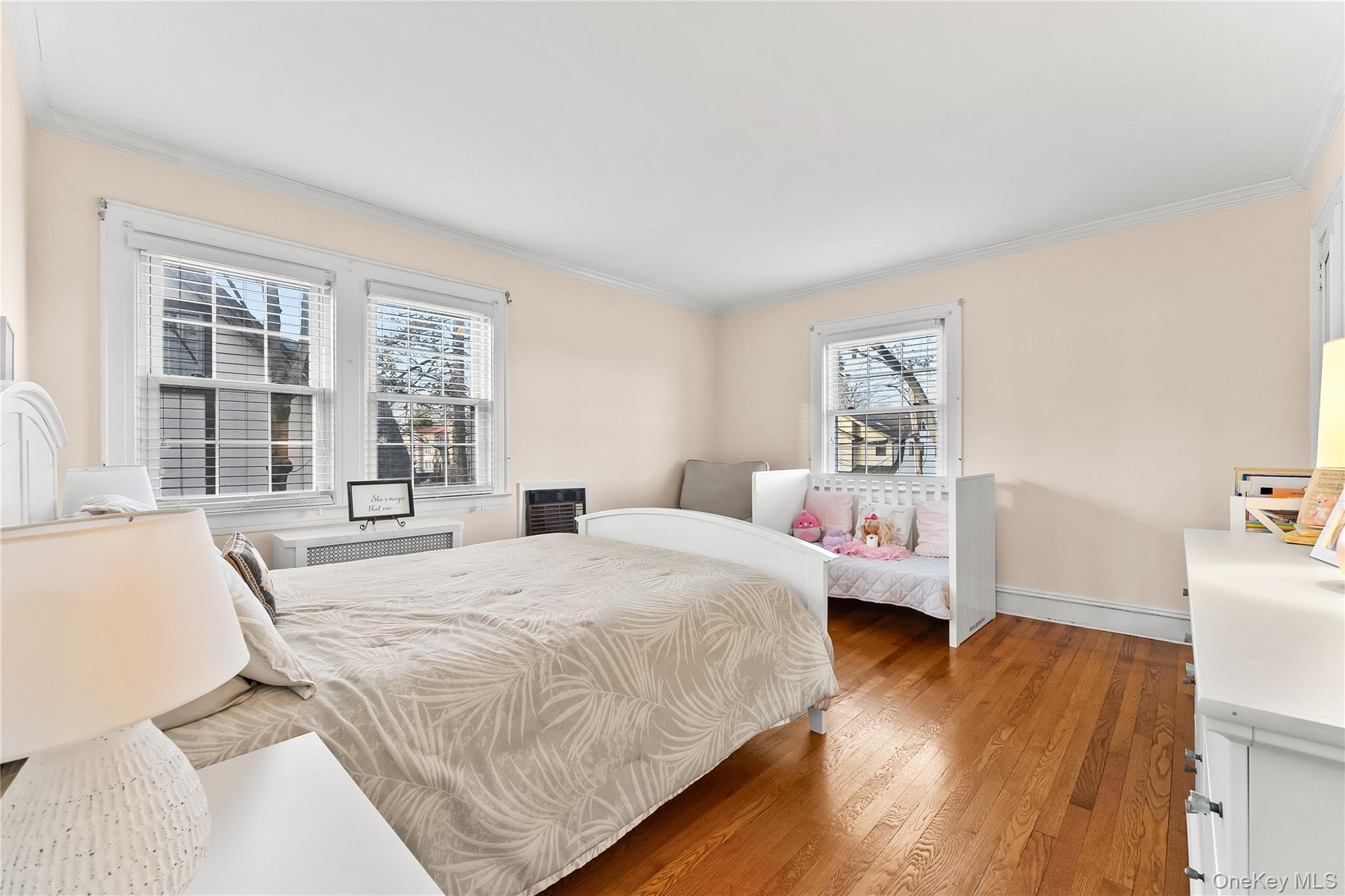 Single Family Morgan Street Queens, NY 11363, MLS-1053708-13