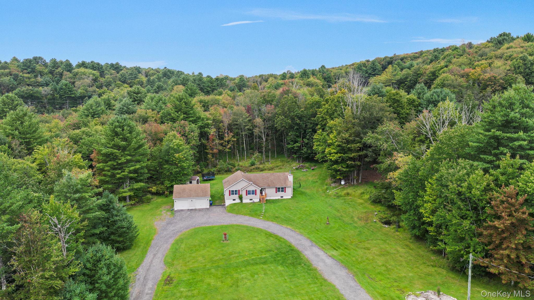 Single Family Mutton Hill Road  Sullivan County, NY 12765, MLS-1053719-23