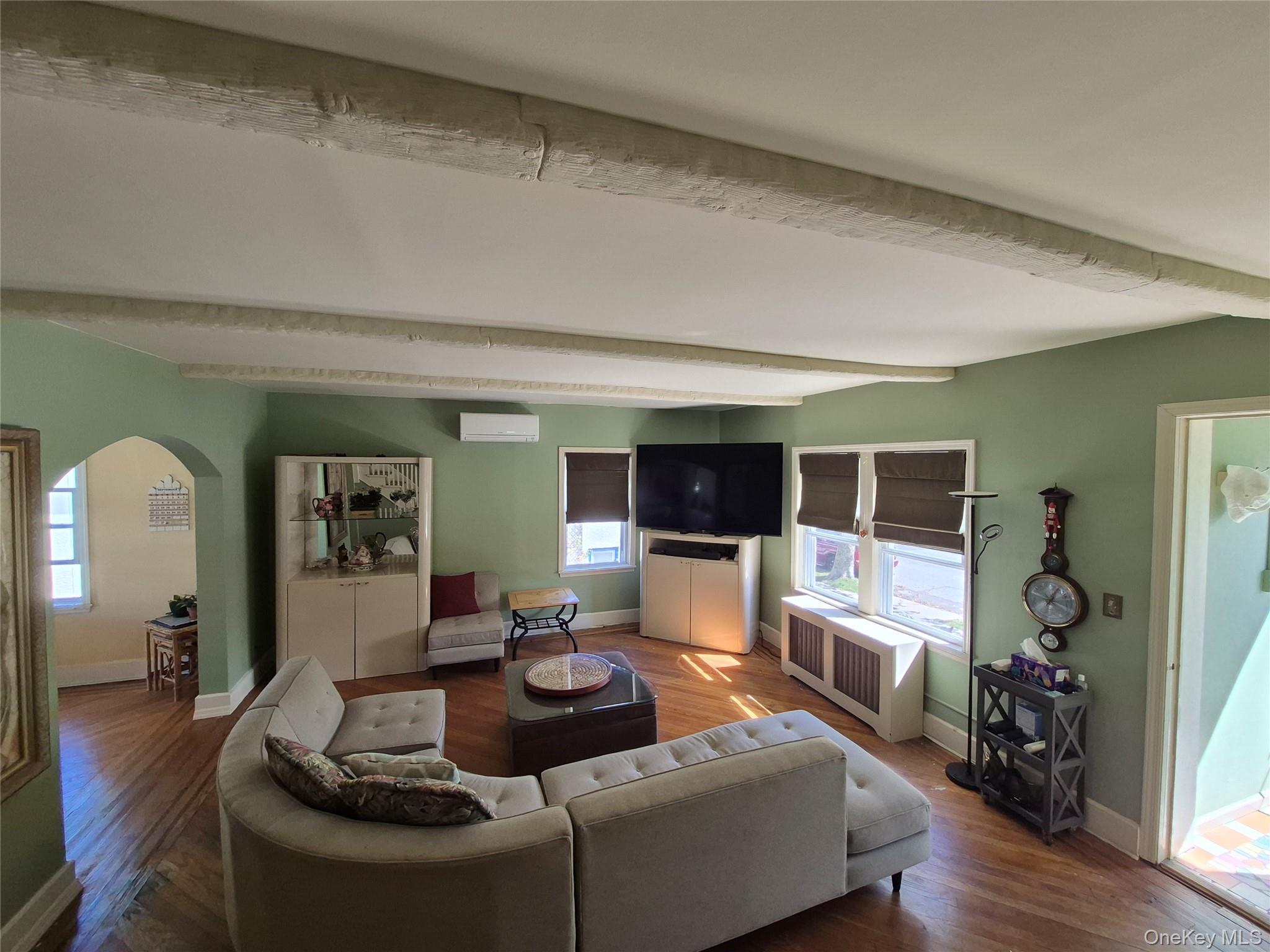 Single Family E Pine Street Nassau County, NY 11561, MLS-1053722-5