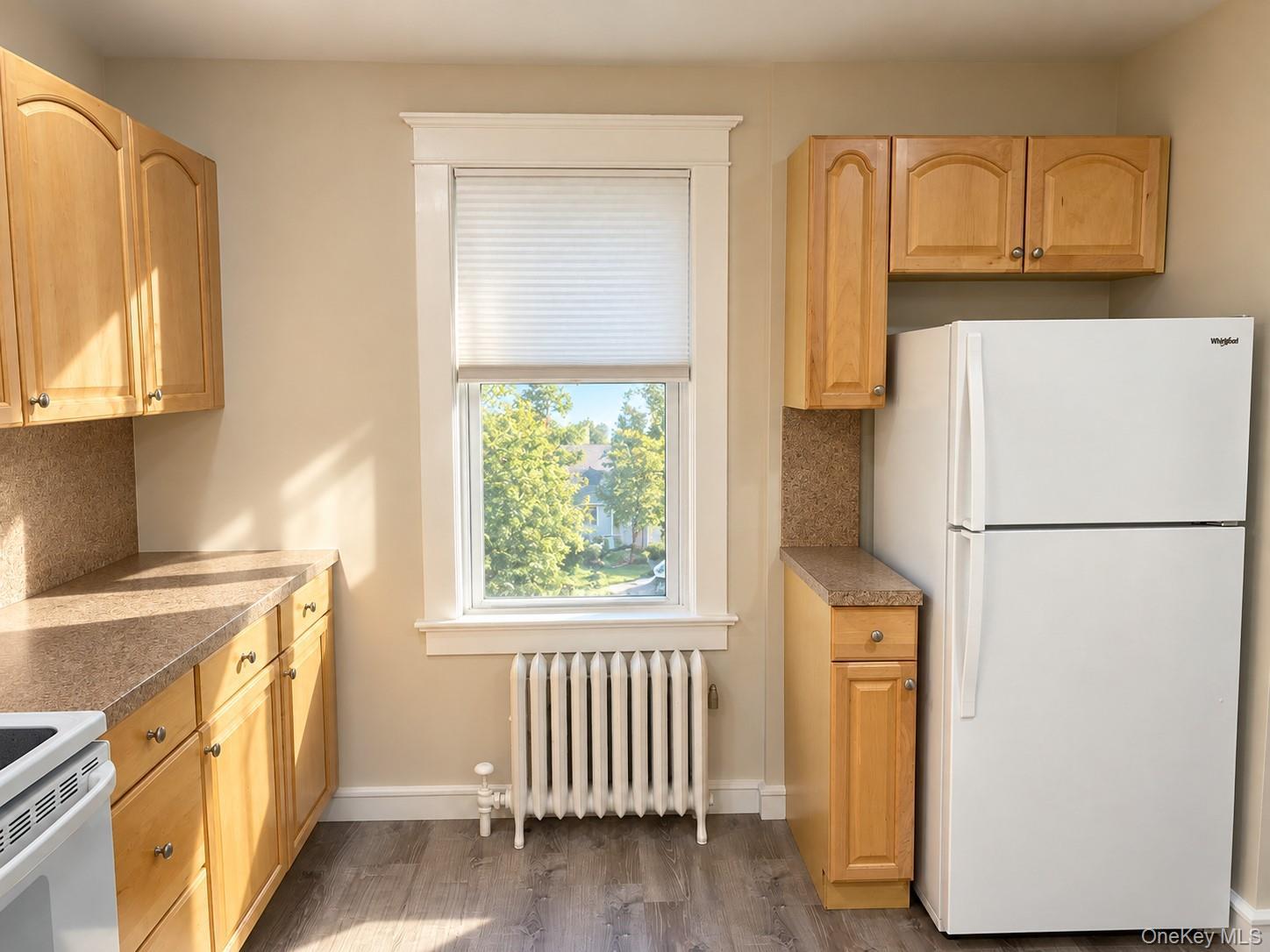 Single Family Franklin Avenue Nassau County, NY 11542, MLS-1053759-30