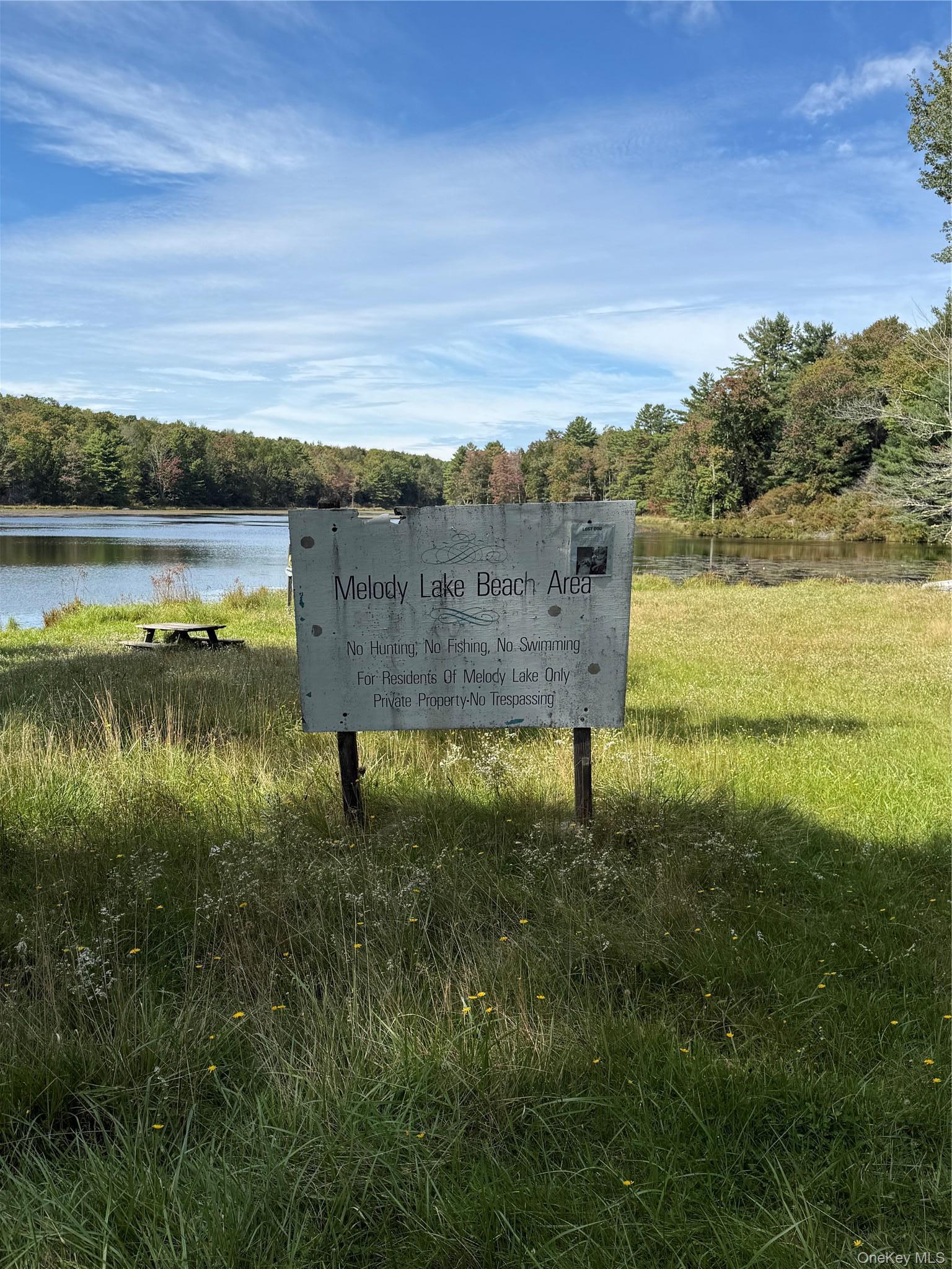 Single Family Melody Lake Drive Sullivan County, NY 12701, MLS-1053790-19
