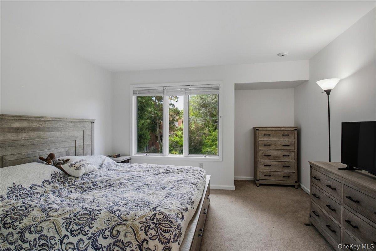 Single Family Knoll View Westchester County, NY 10562, MLS-1053845-12