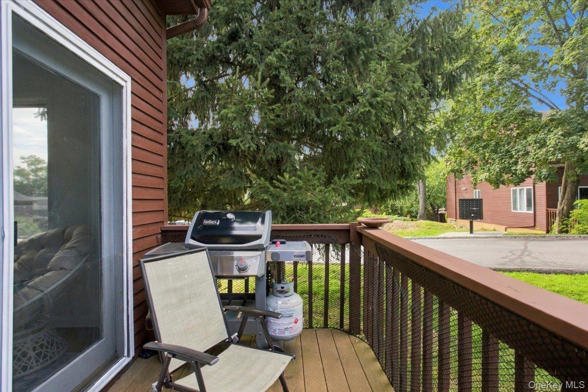 Single Family Knoll View Westchester County, NY 10562, MLS-1053845-18