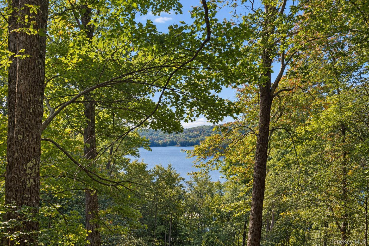 Single Family Starlight Drive  Sullivan County, NY 12701, MLS-1053871-12
