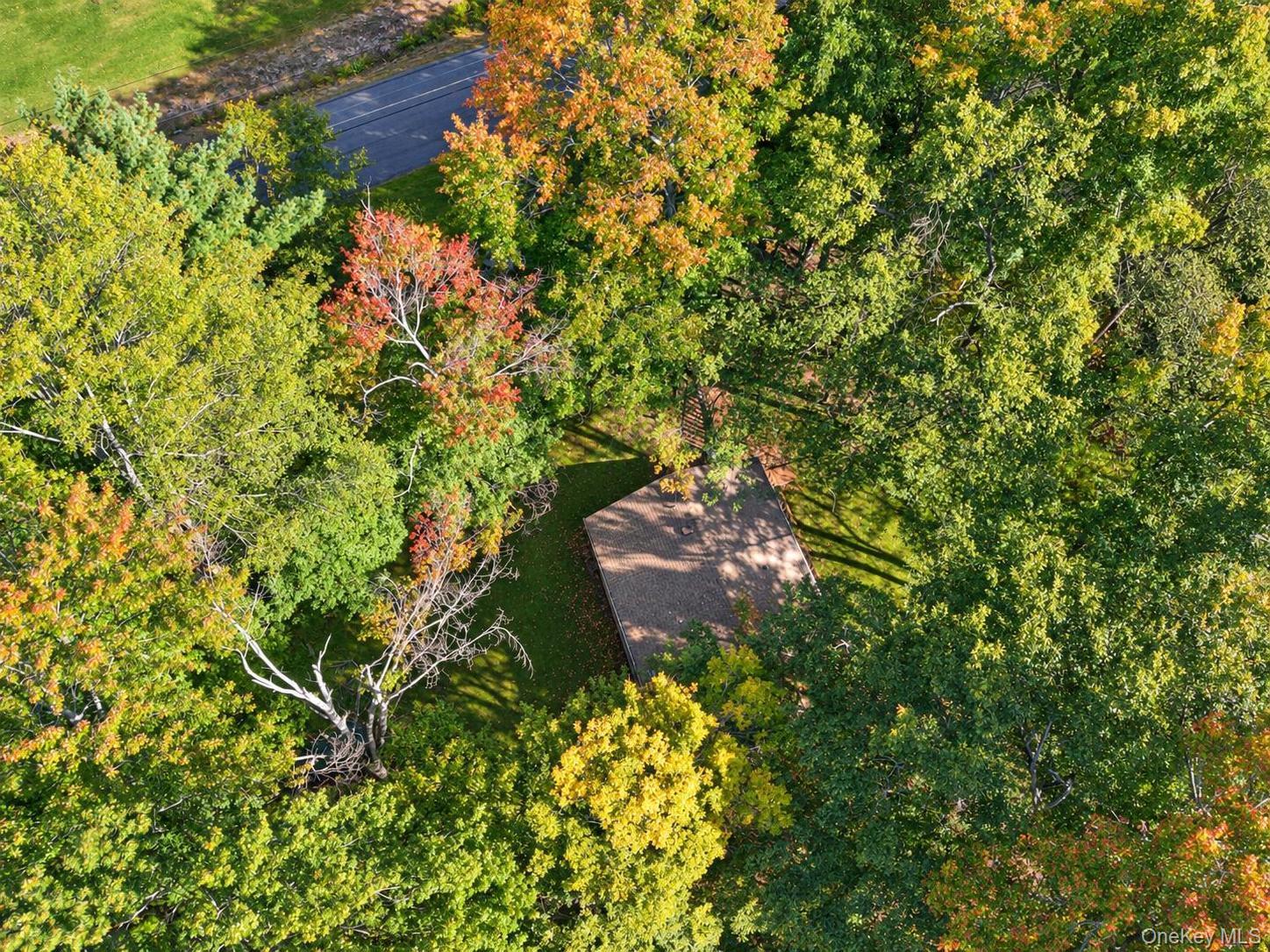 Single Family Starlight Drive  Sullivan County, NY 12701, MLS-1053871-14