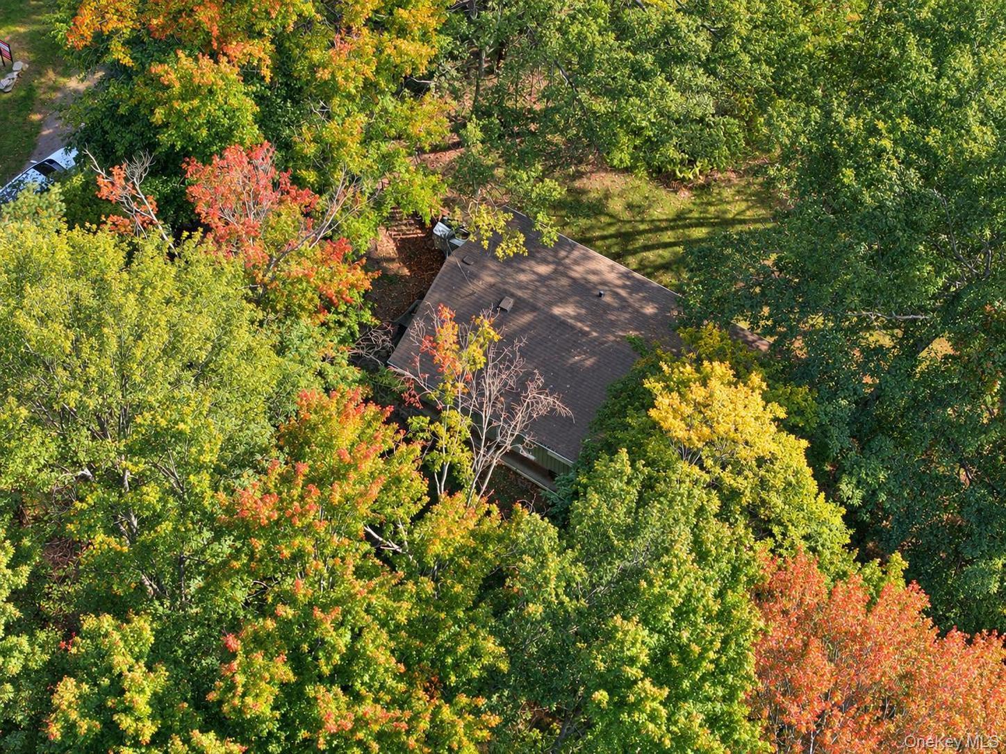 Single Family Starlight Drive  Sullivan County, NY 12701, MLS-1053871-35