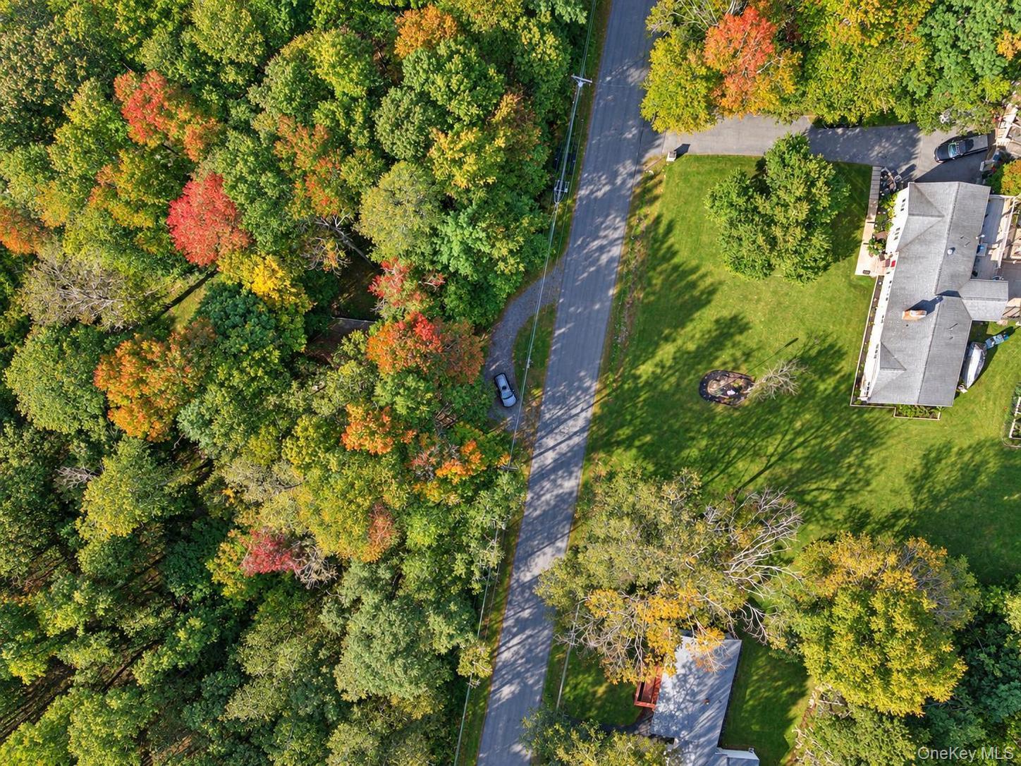 Single Family Starlight Drive  Sullivan County, NY 12701, MLS-1053871-4