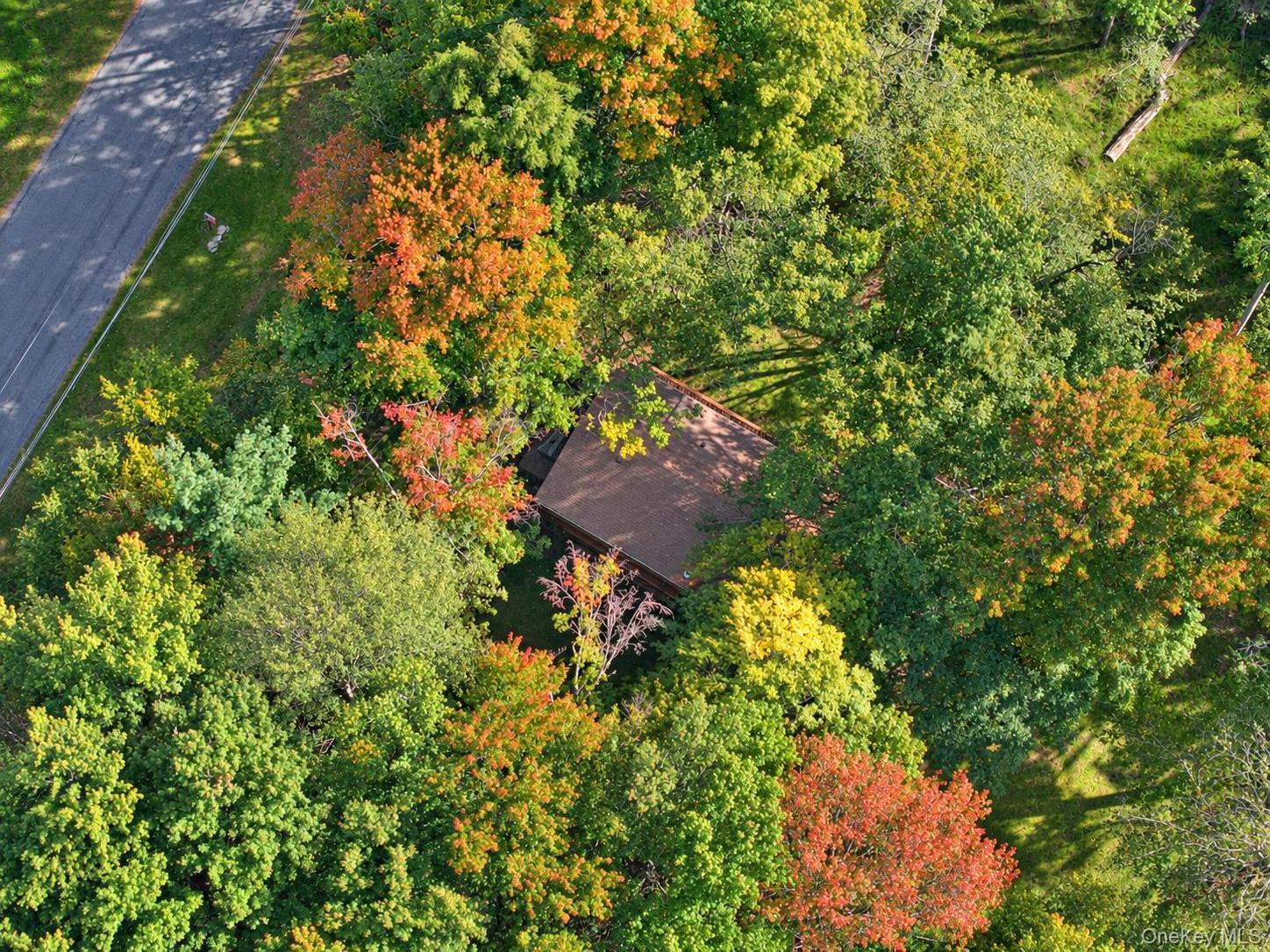 Single Family Starlight Drive  Sullivan County, NY 12701, MLS-1053871-41