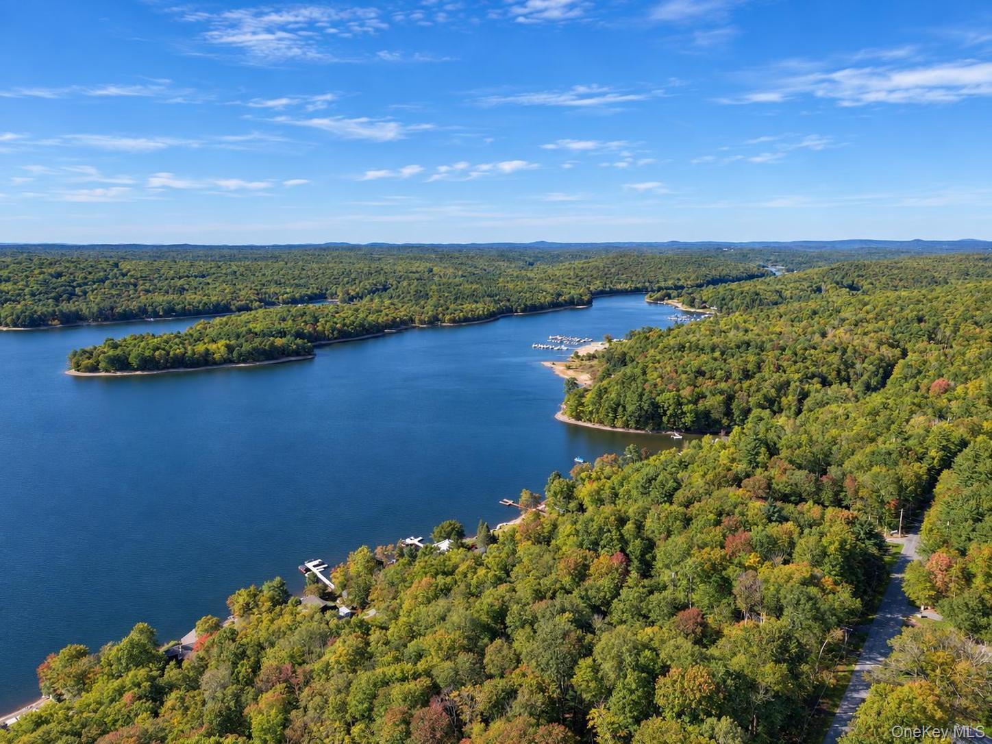 Single Family Starlight Drive  Sullivan County, NY 12701, MLS-1053871-50