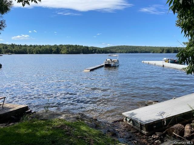 Single Family Starlight Drive  Sullivan County, NY 12701, MLS-1053871-6