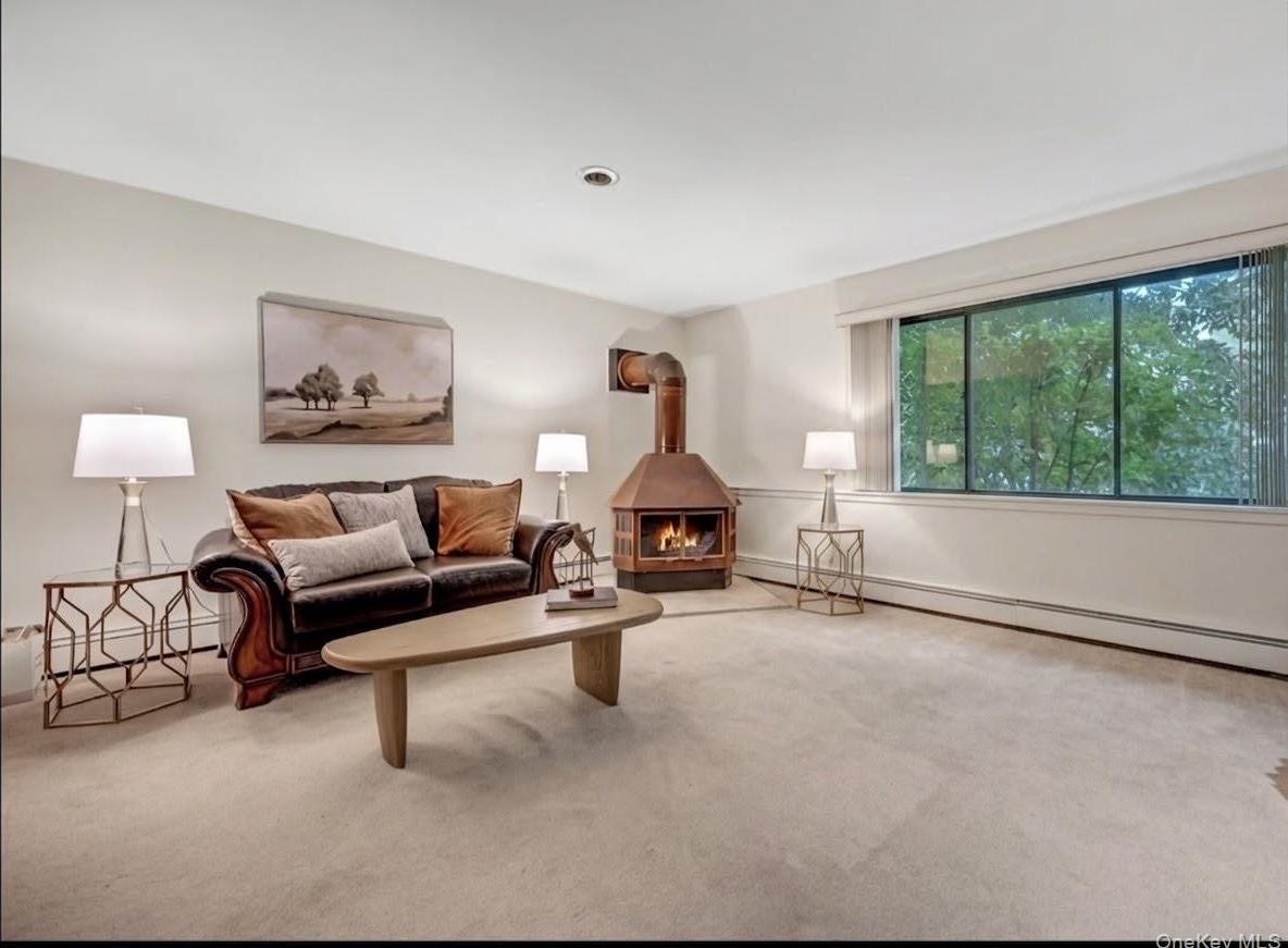Single Family Hillside Lane  Westchester County, NY 10804, MLS-1053909-24