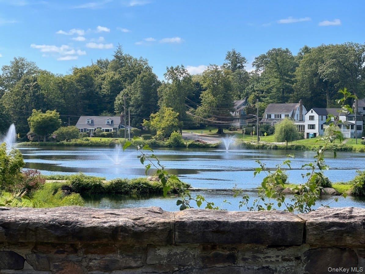 Single Family Hillside Lane  Westchester County, NY 10804, MLS-1053909-30