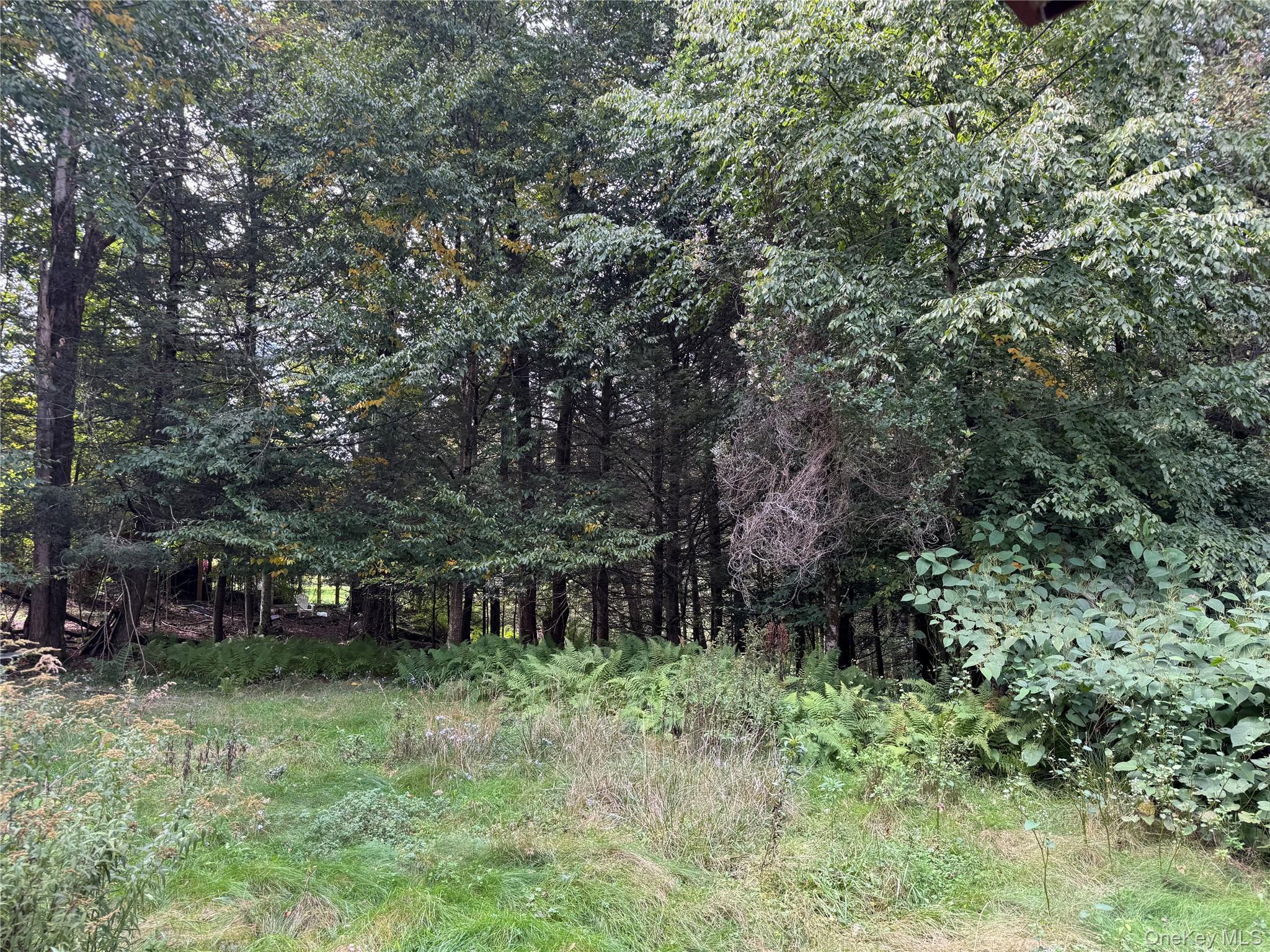 Single Family Twin Bridge Road Sullivan County, NY 12754, MLS-1054066-13