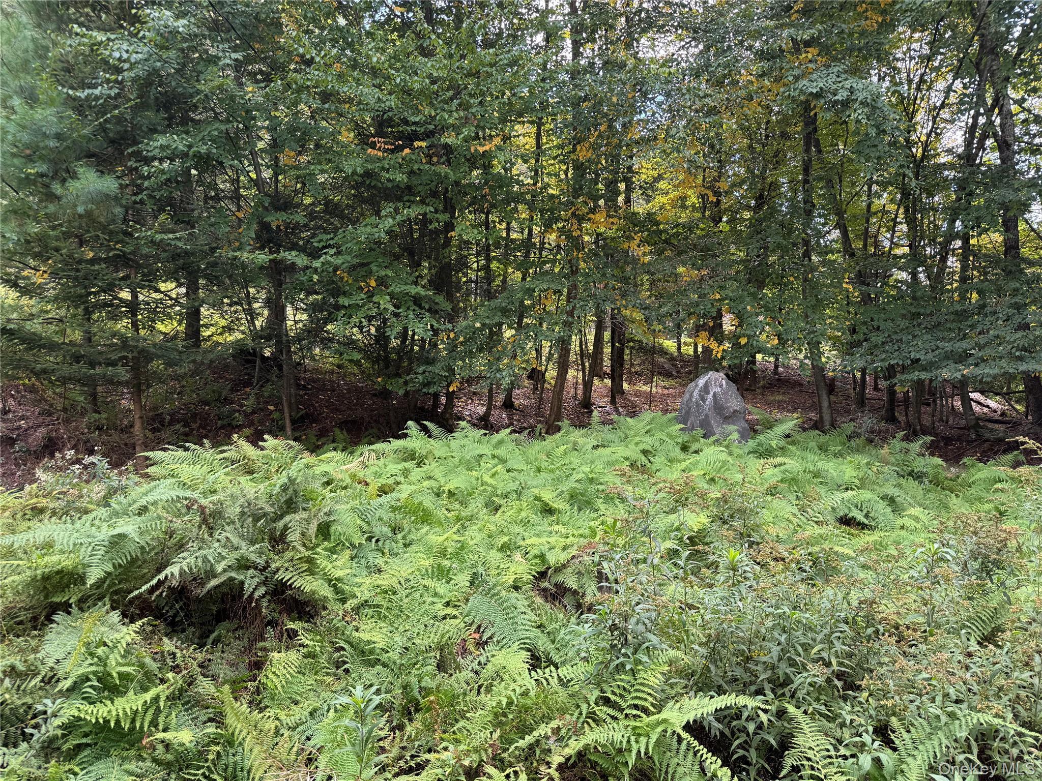 Single Family Twin Bridge Road  Sullivan County, NY 12754, MLS-1054066-14