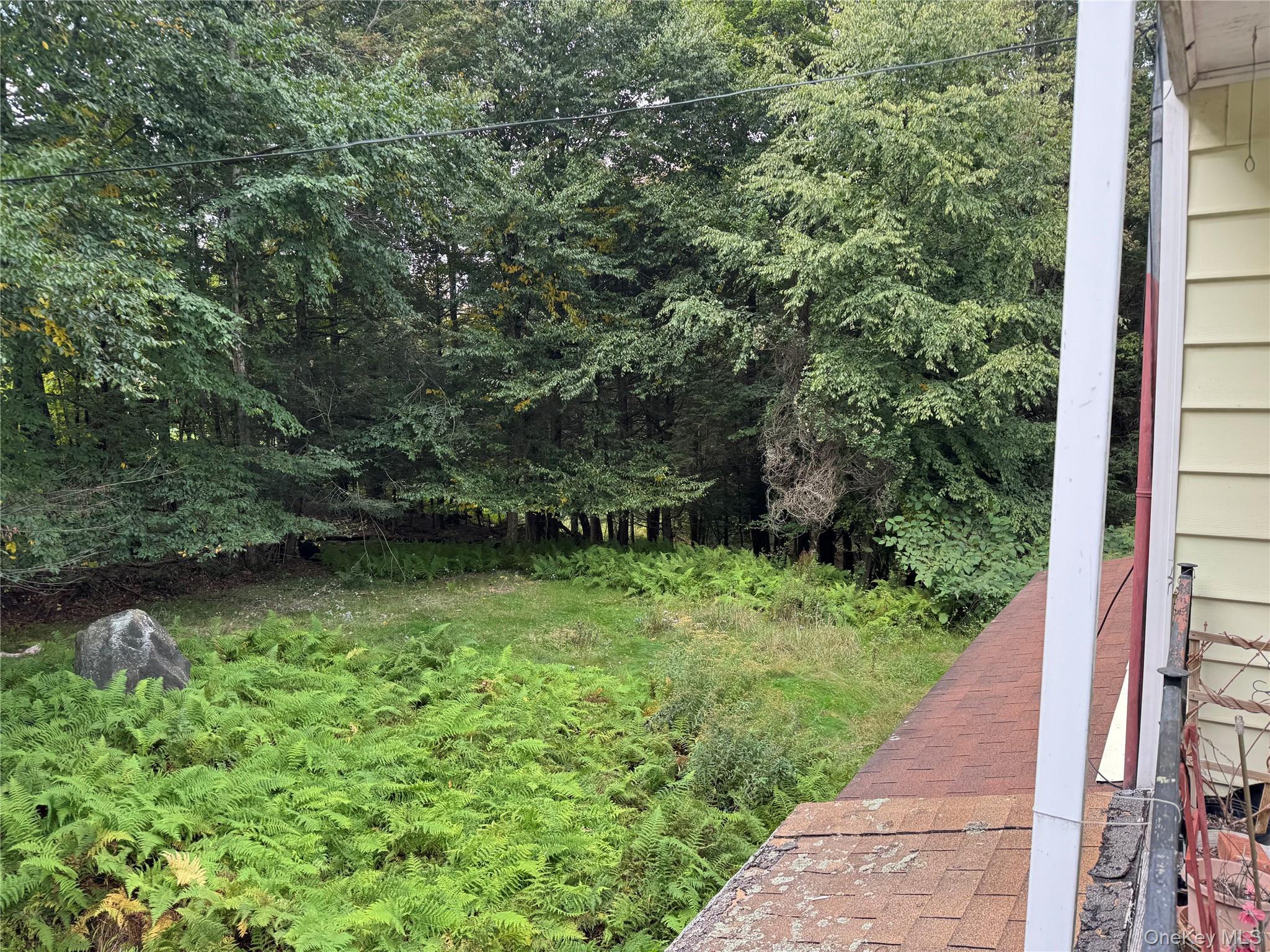 Single Family Twin Bridge Road Sullivan County, NY 12754, MLS-1054066-5