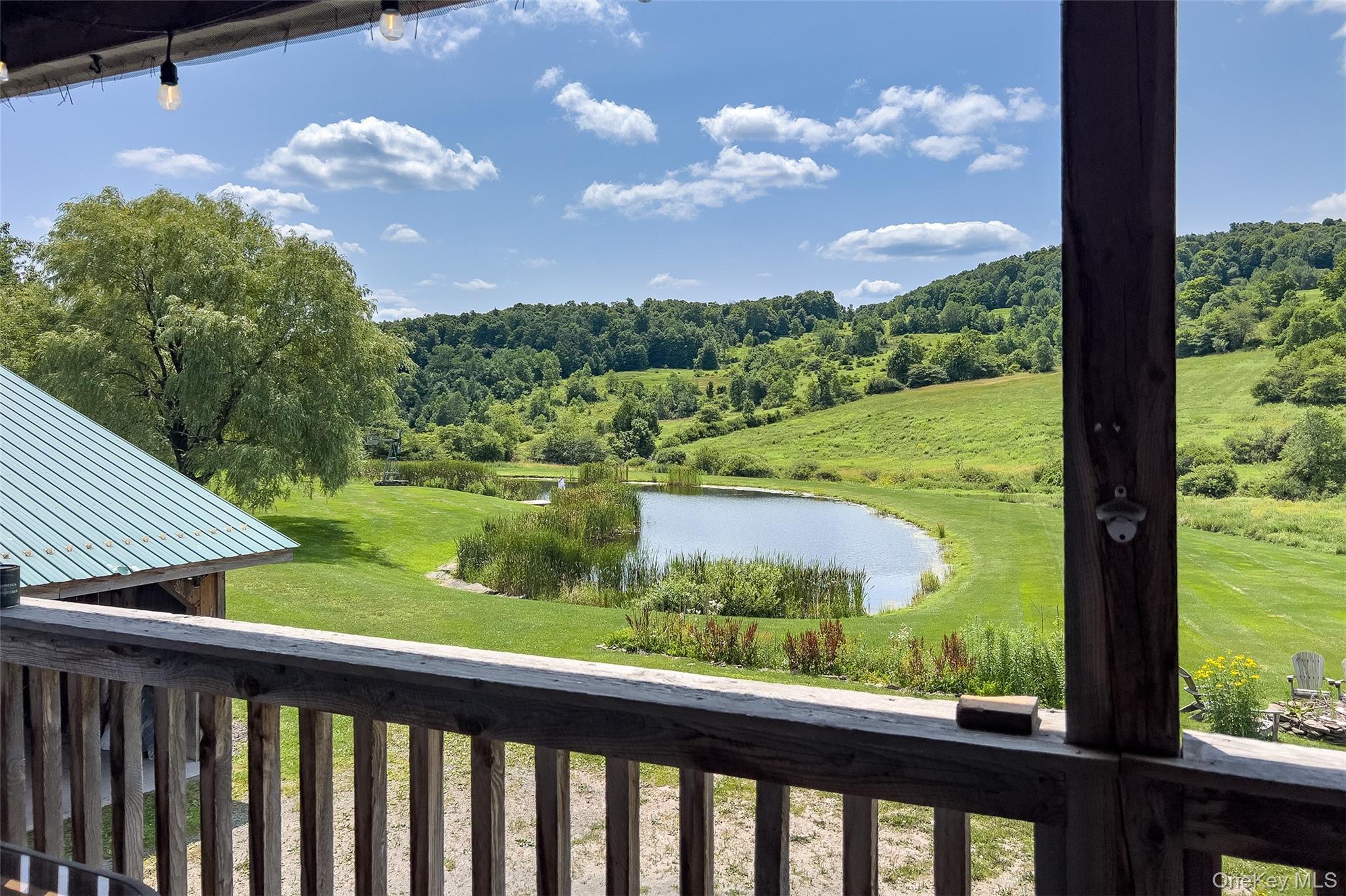 Single Family County Highway 14 Delaware County, NY 13753, MLS-1054071-41