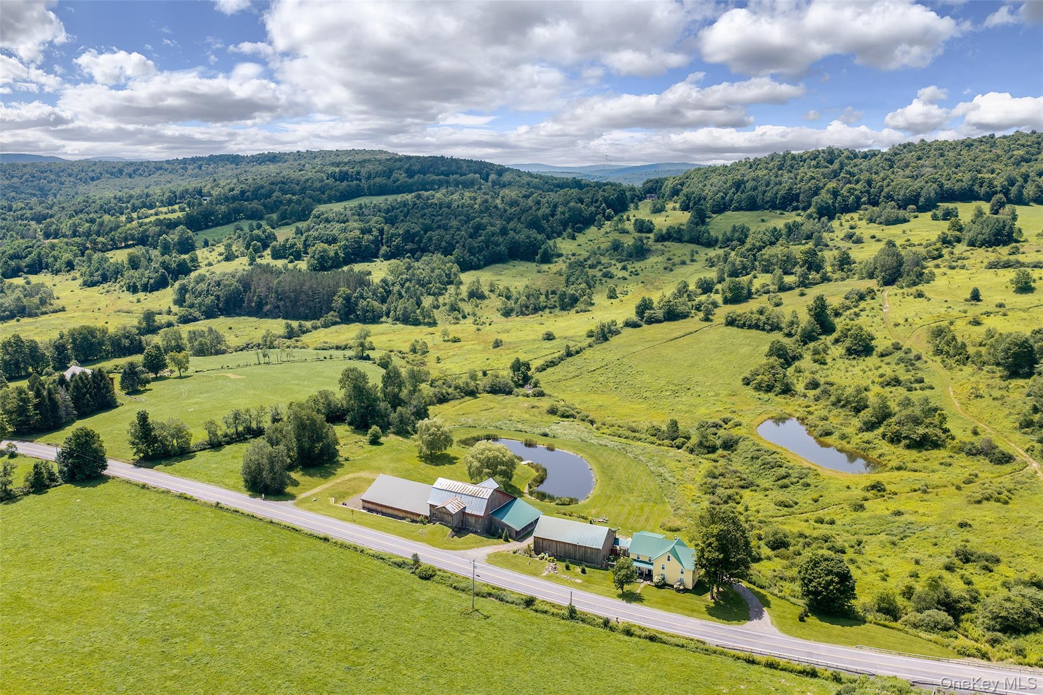 Single Family County Highway 14 Delaware County, NY 13753, MLS-1054071-45