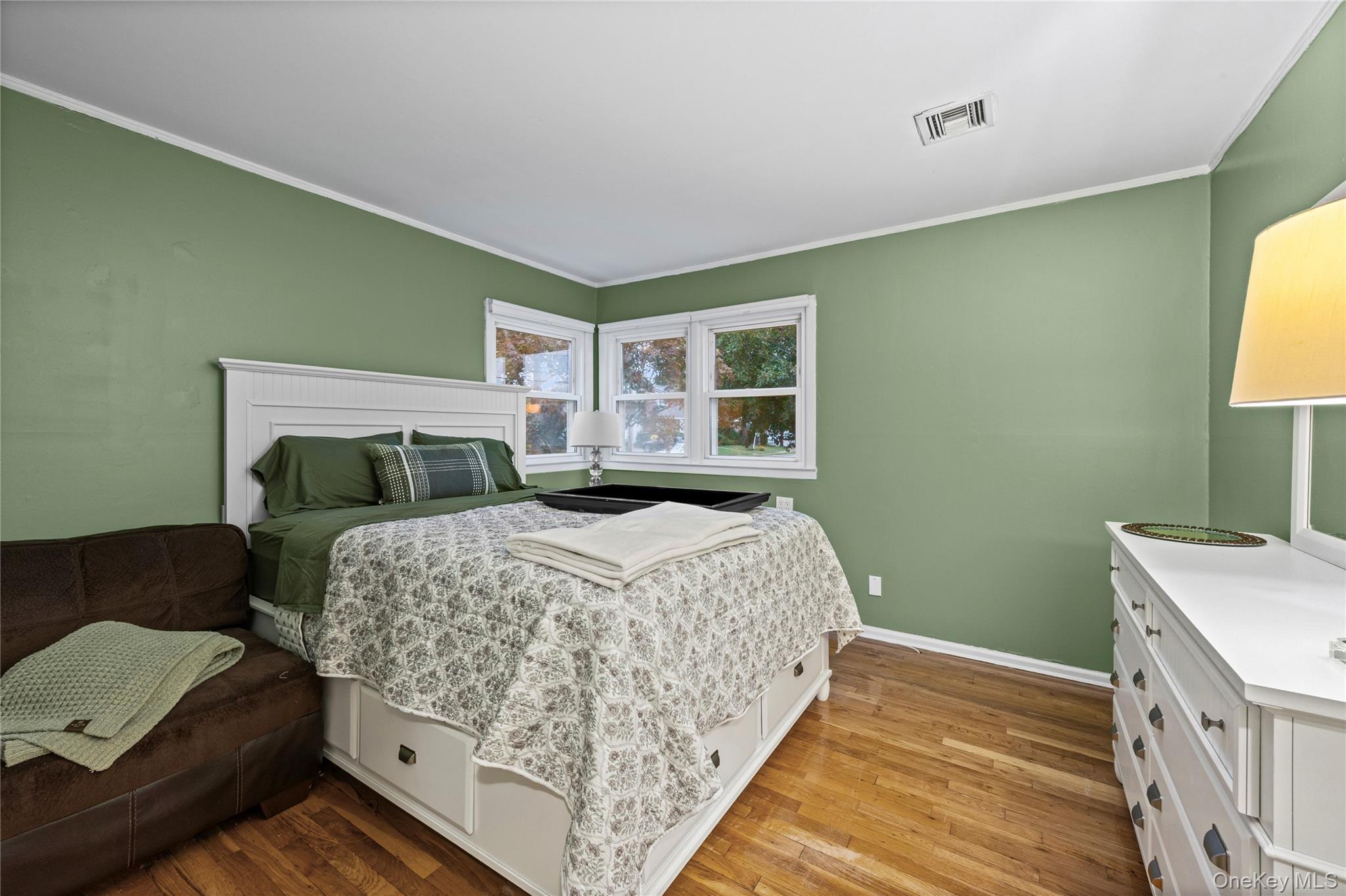 Single Family Willow Drive Nassau County, NY 11762, MLS-1054098-13