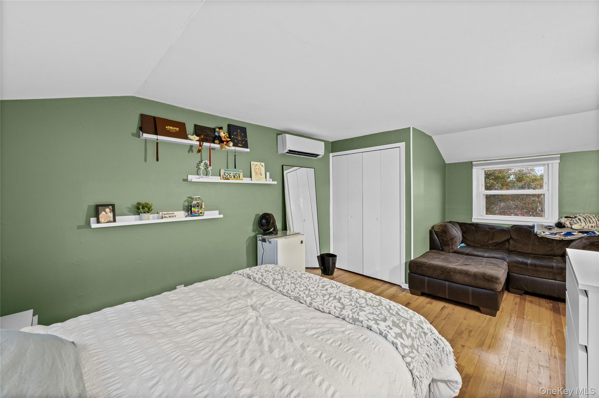 Single Family Willow Drive Nassau County, NY 11762, MLS-1054098-17