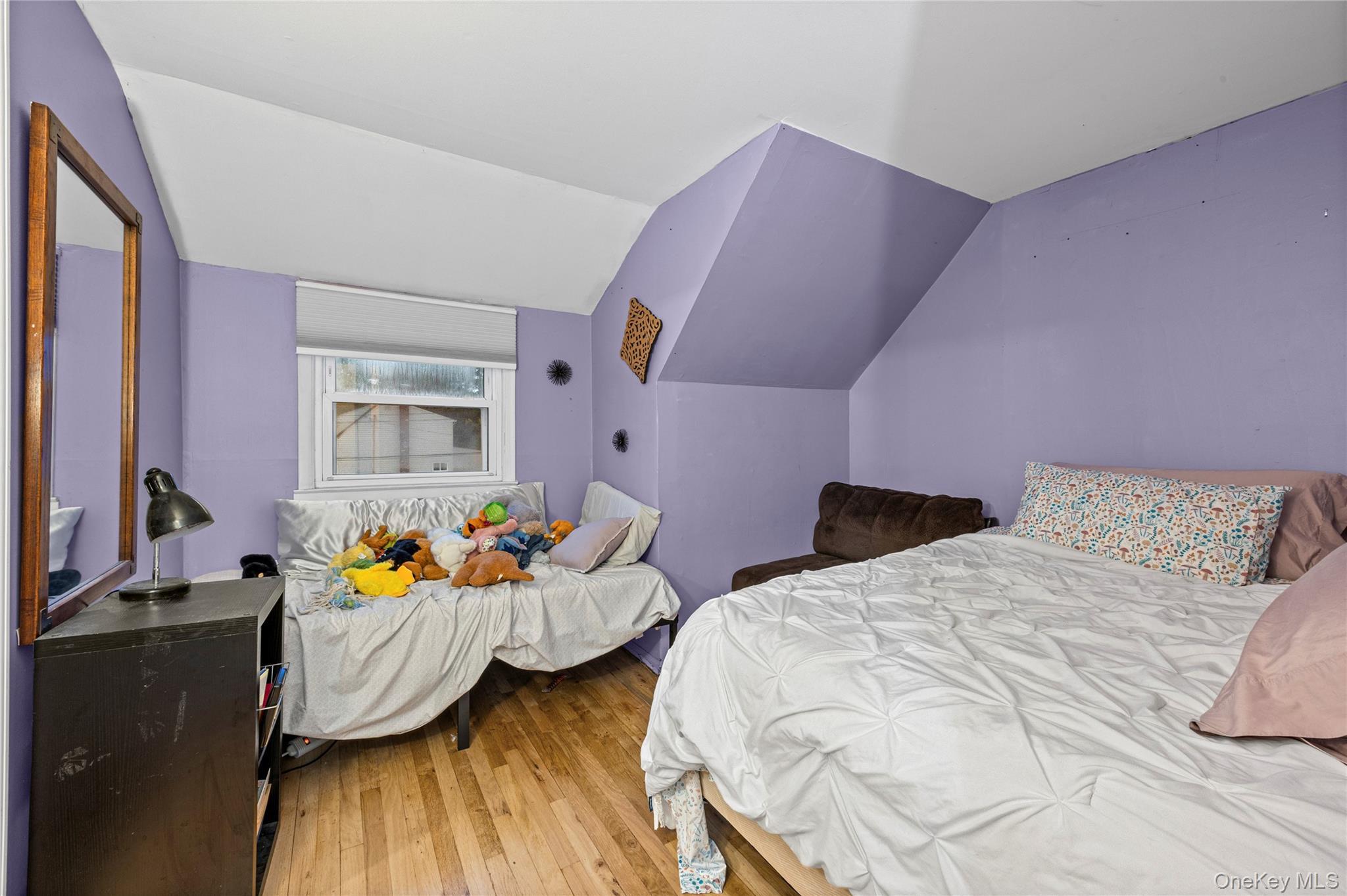 Single Family Willow Drive Nassau County, NY 11762, MLS-1054098-21