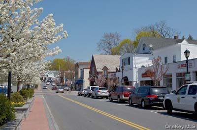 Single Family Columbus Avenue  Westchester County, NY 10604, MLS-1054131-2
