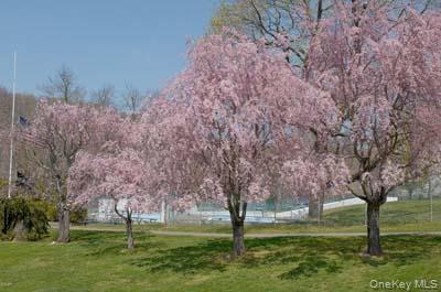 Single Family Columbus Avenue  Westchester County, NY 10604, MLS-1054131-4