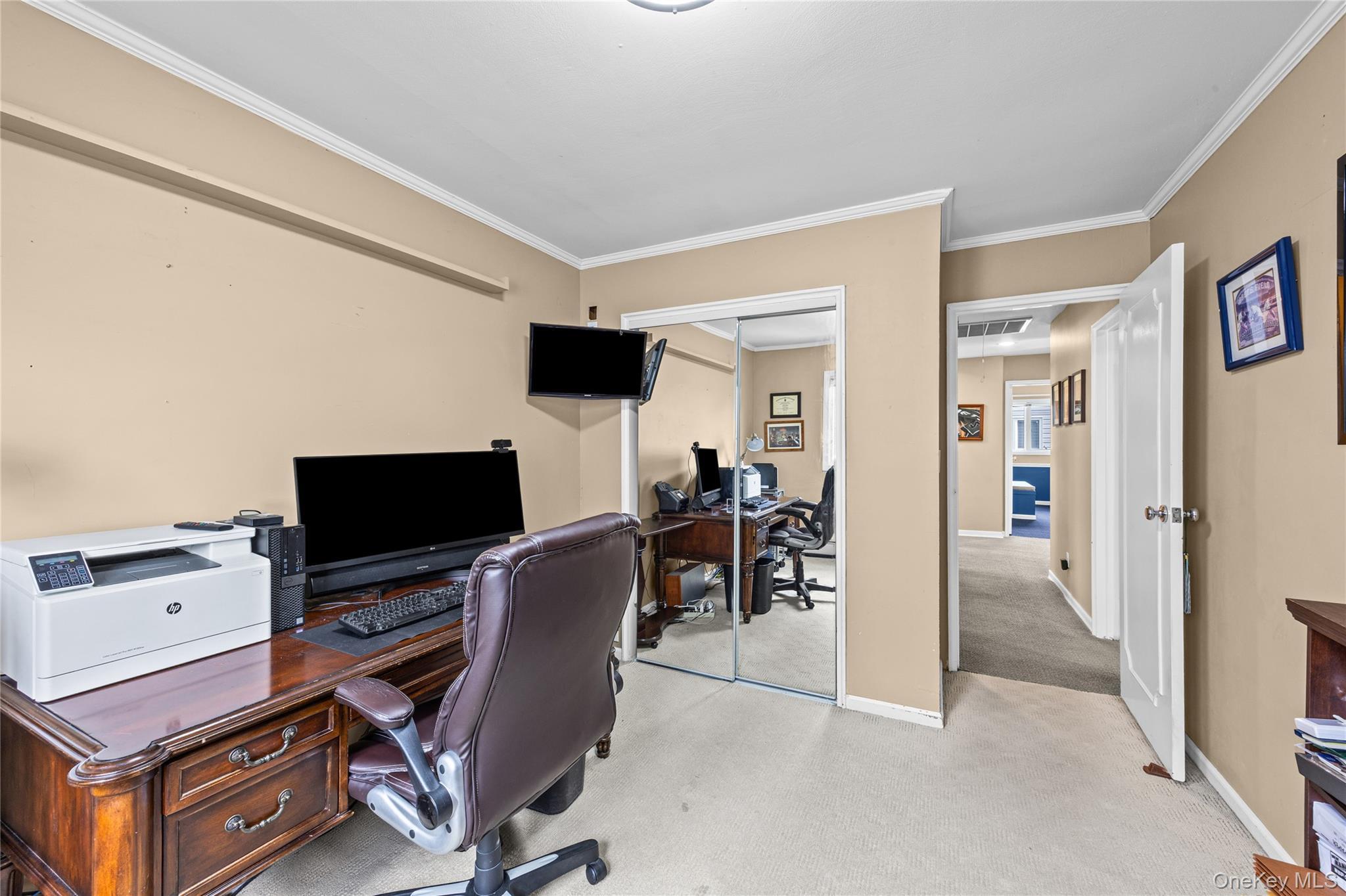 Single Family Ellen Drive  Nassau County, NY 11566, MLS-1054158-31