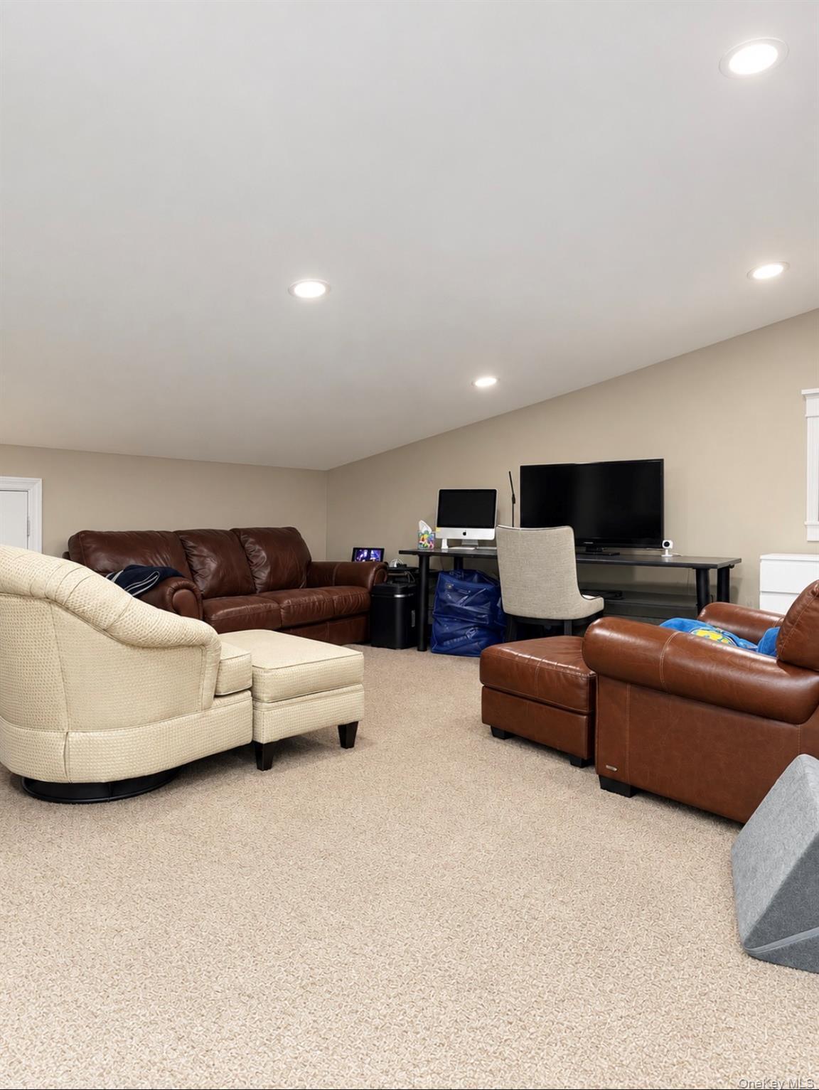 Single Family Ellen Drive  Nassau County, NY 11566, MLS-1054158-36