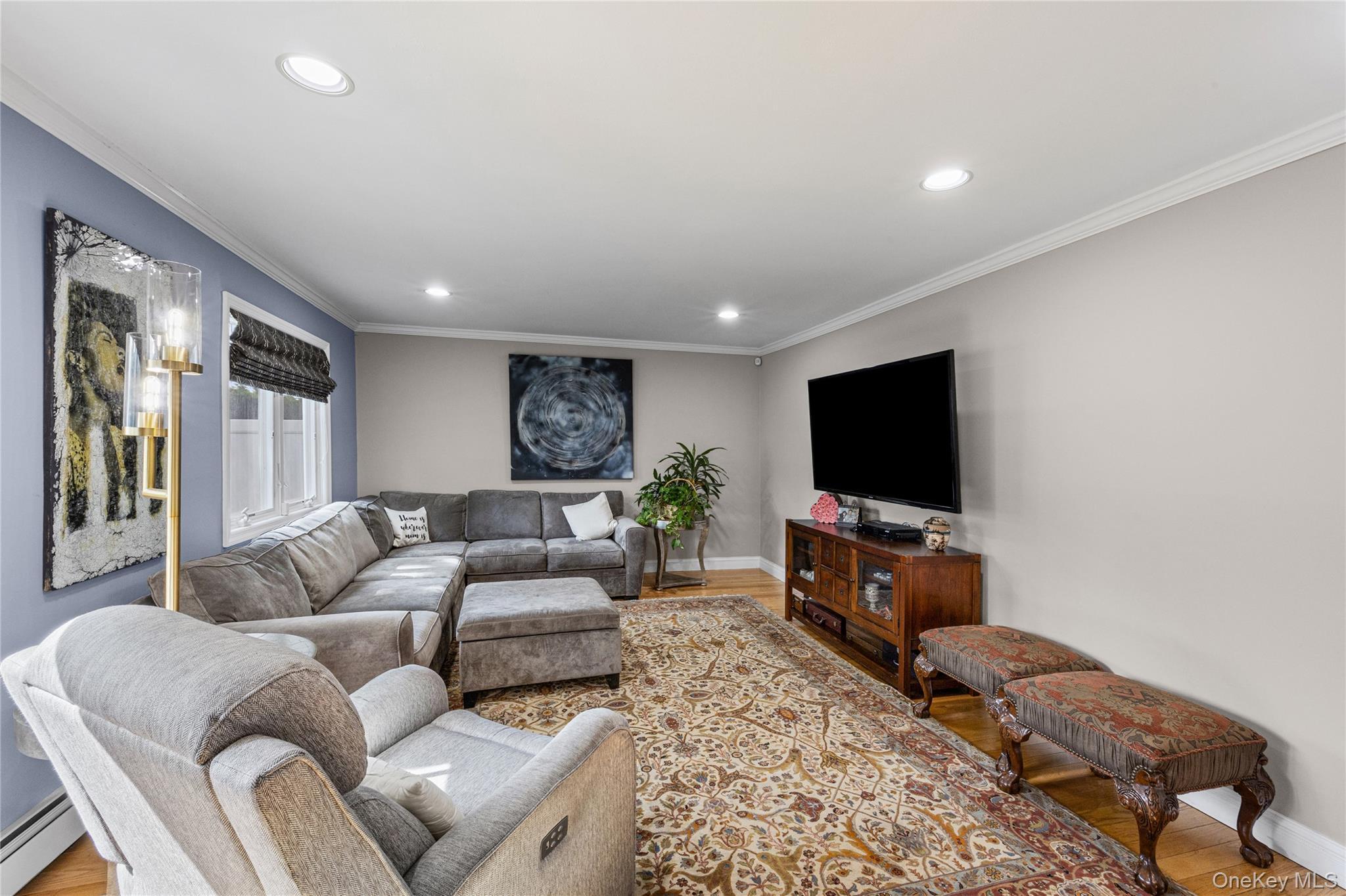 Single Family Ellen Drive  Nassau County, NY 11566, MLS-1054158-6