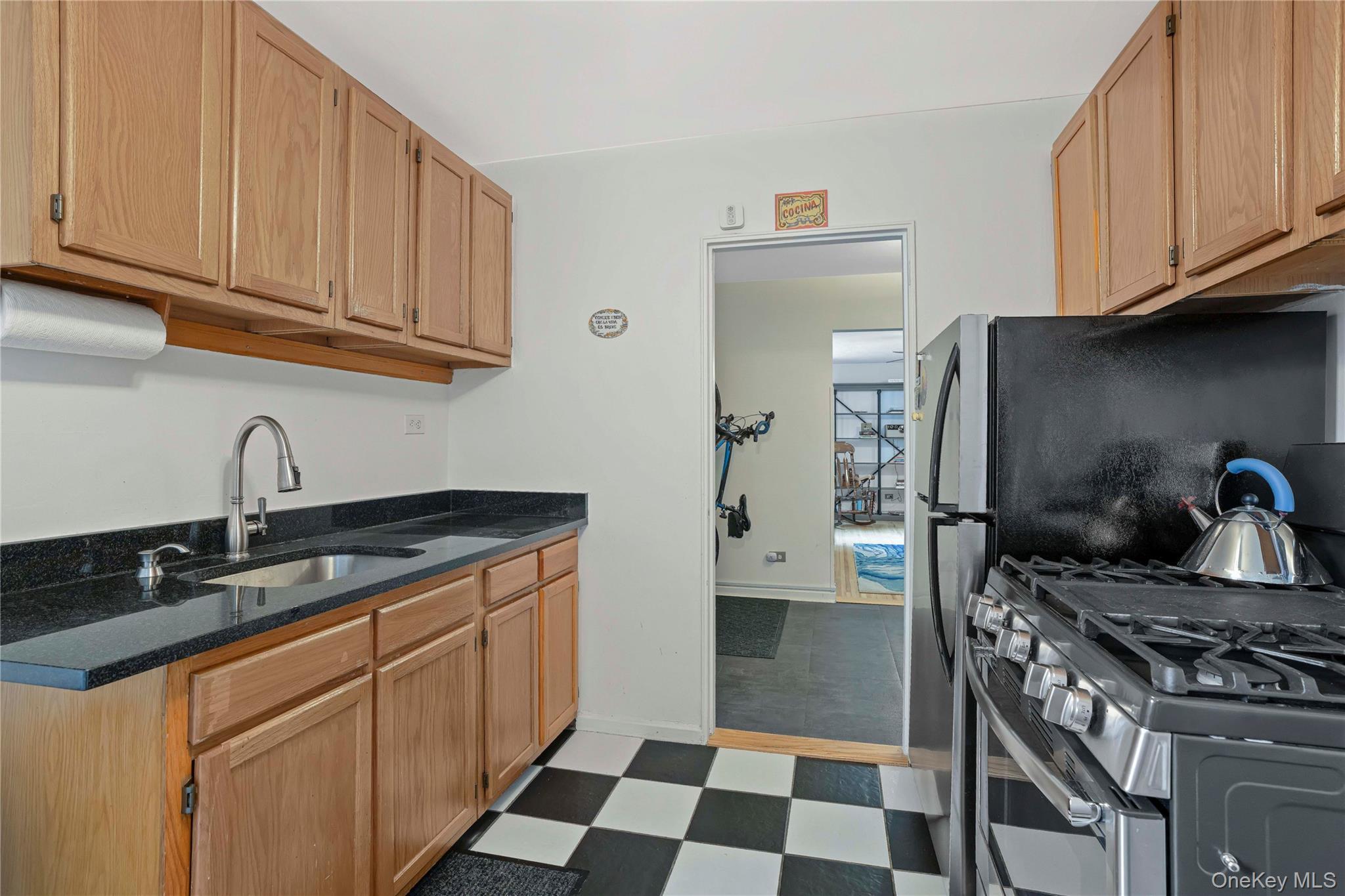 Coop Knapp Street Brooklyn, NY 11229, MLS-1054160-14
