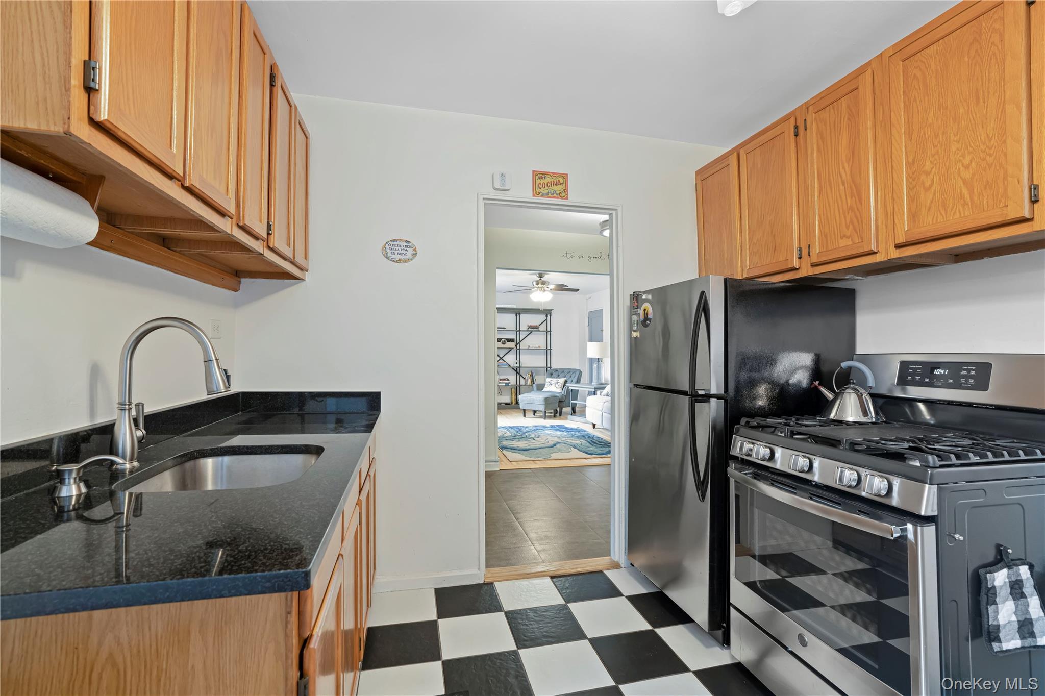 Coop Knapp Street Brooklyn, NY 11229, MLS-1054160-15
