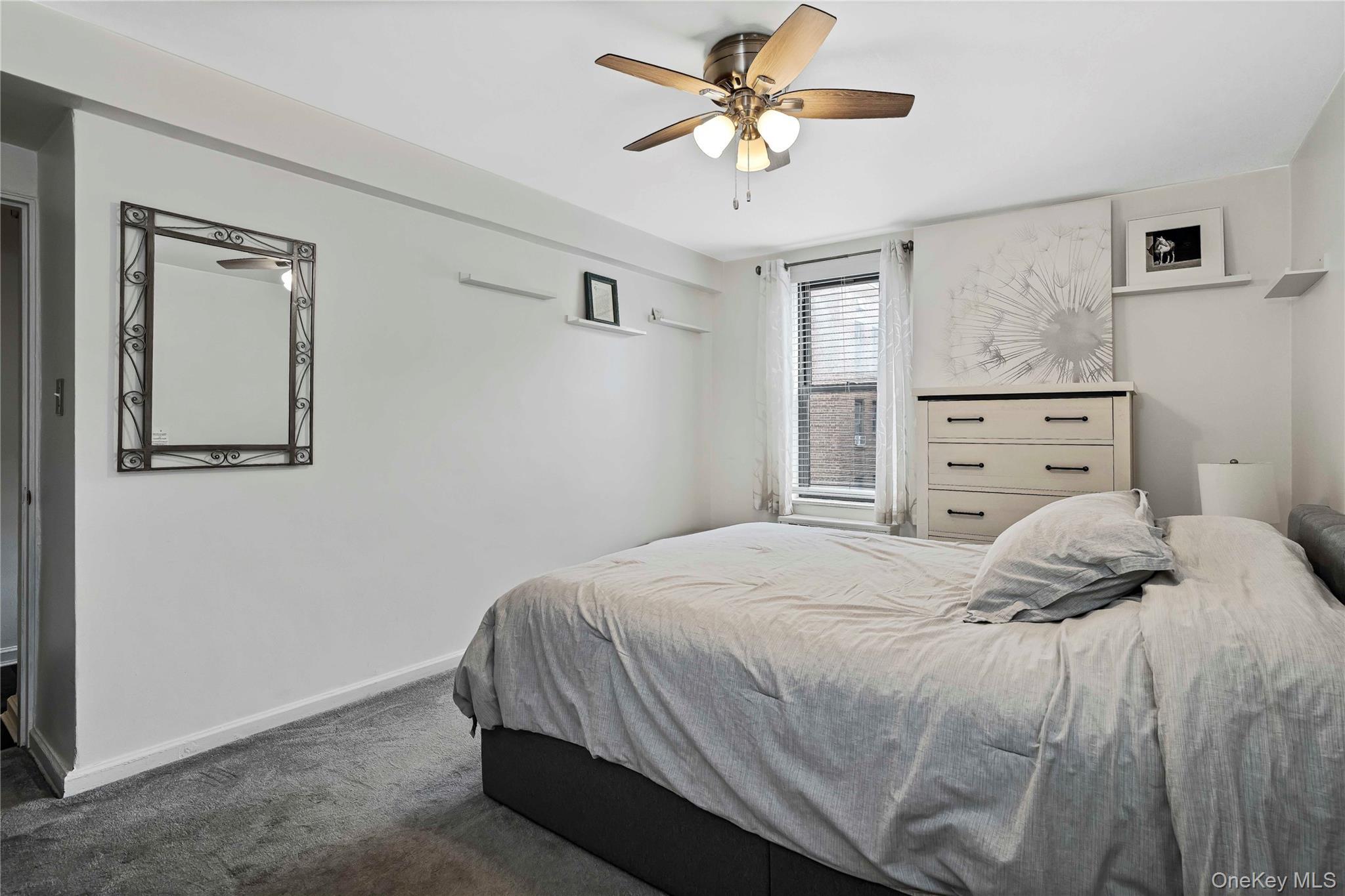 Coop Knapp Street Brooklyn, NY 11229, MLS-1054160-17