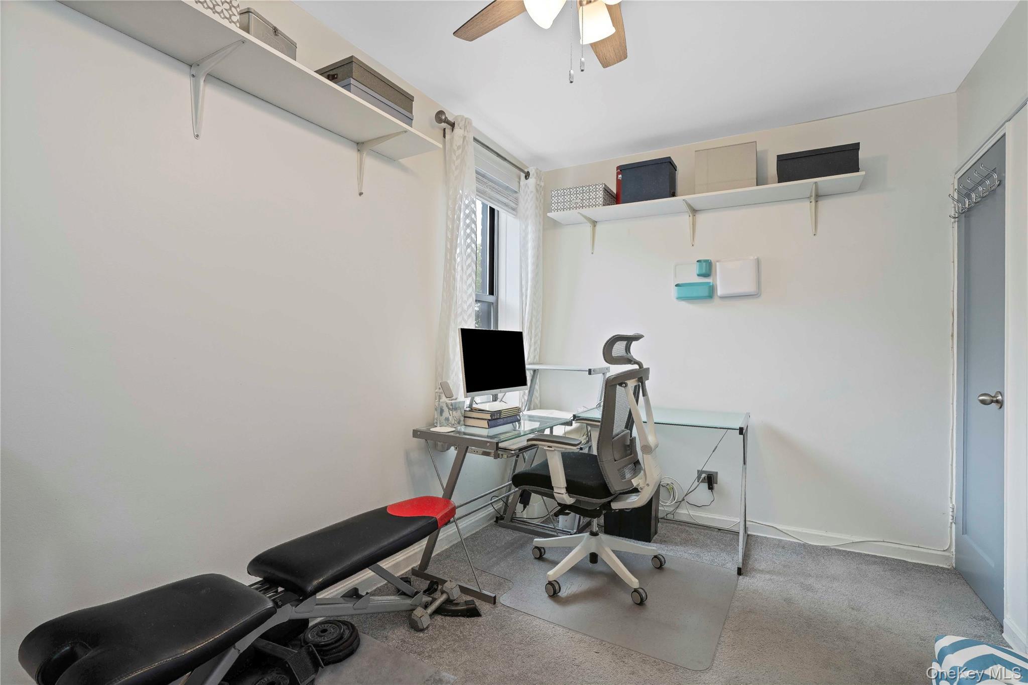 Coop Knapp Street Brooklyn, NY 11229, MLS-1054160-21