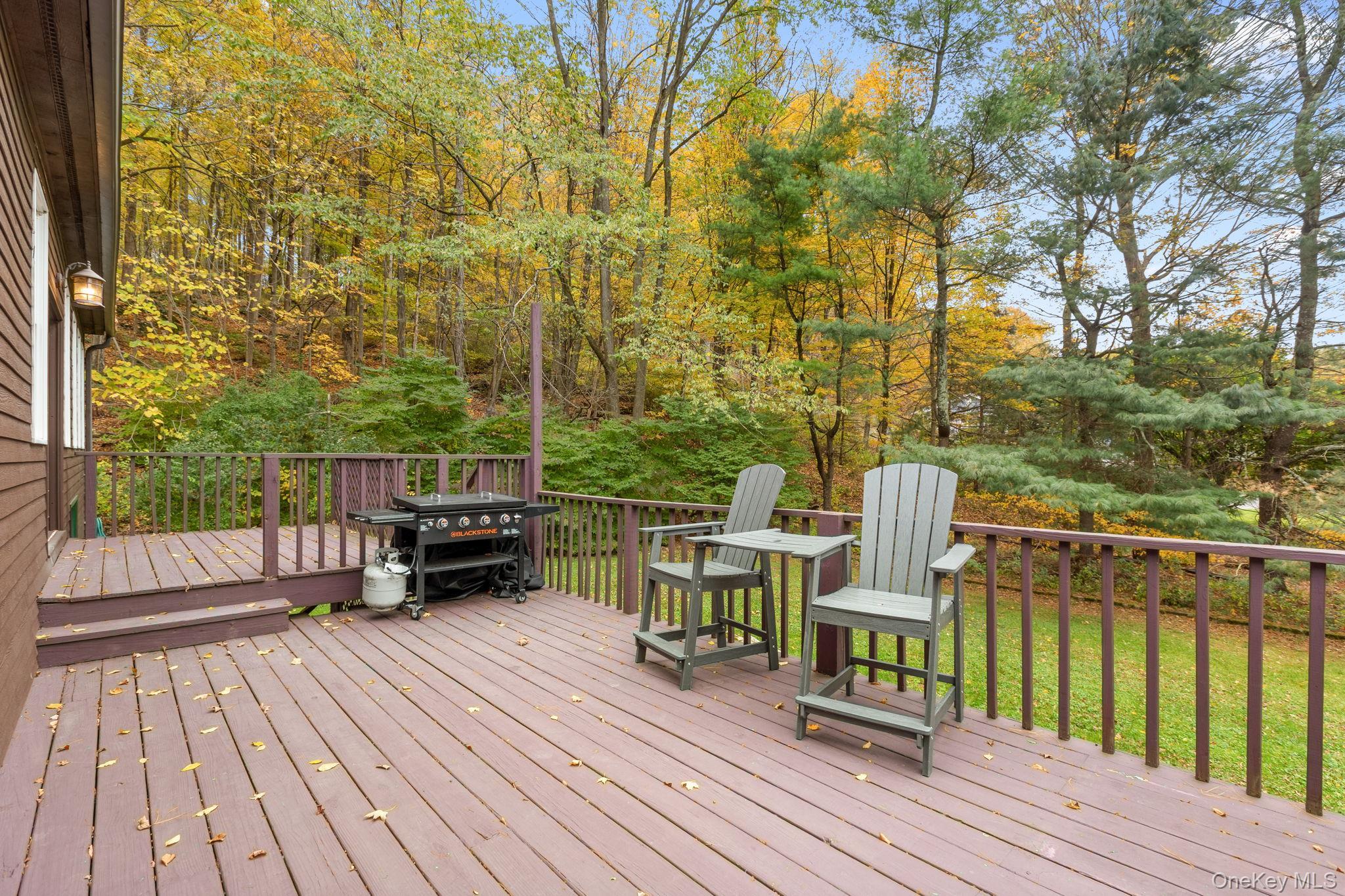Single Family Curtis Out Of Area, NY 06784, MLS-1054171-46
