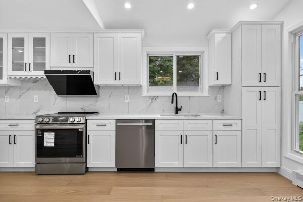 Single Family Willets Drive Nassau County, NY 11791, MLS-1054213-10