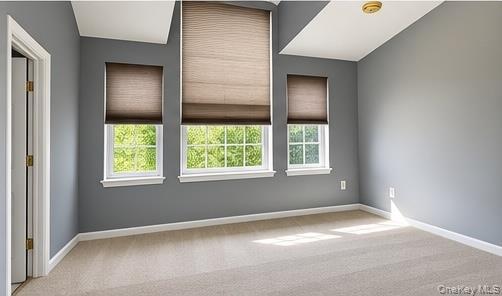 Single Family Delafield Lane Orange County, NY 12550, MLS-1054232-14