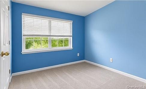 Single Family Delafield Lane Orange County, NY 12550, MLS-1054232-15