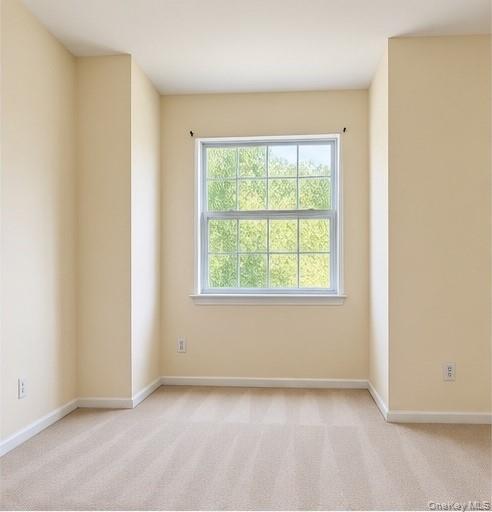 Single Family Delafield Lane Orange County, NY 12550, MLS-1054232-3