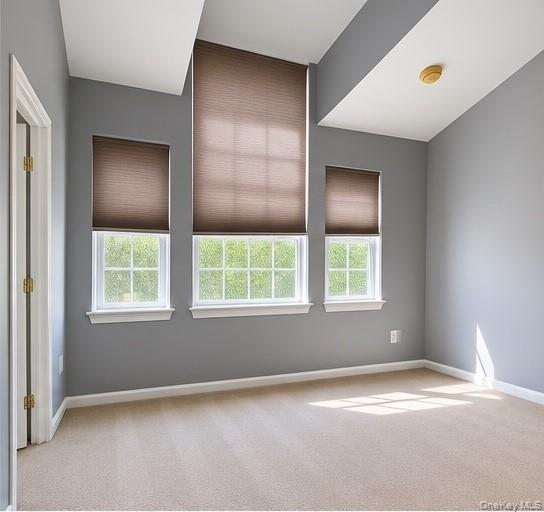Single Family Delafield Lane Orange County, NY 12550, MLS-1054232-4