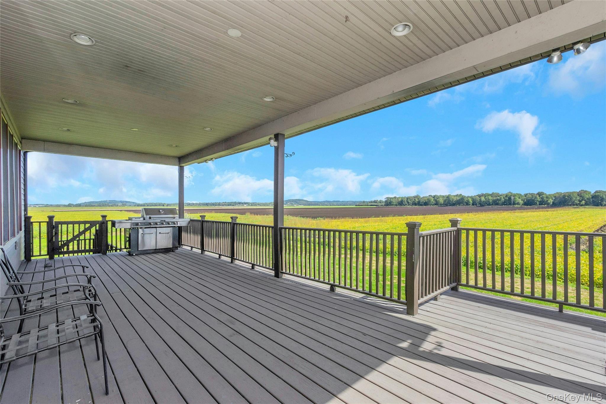 Single Family Celery Avenue  Orange County, NY 10958, MLS-1054233-21